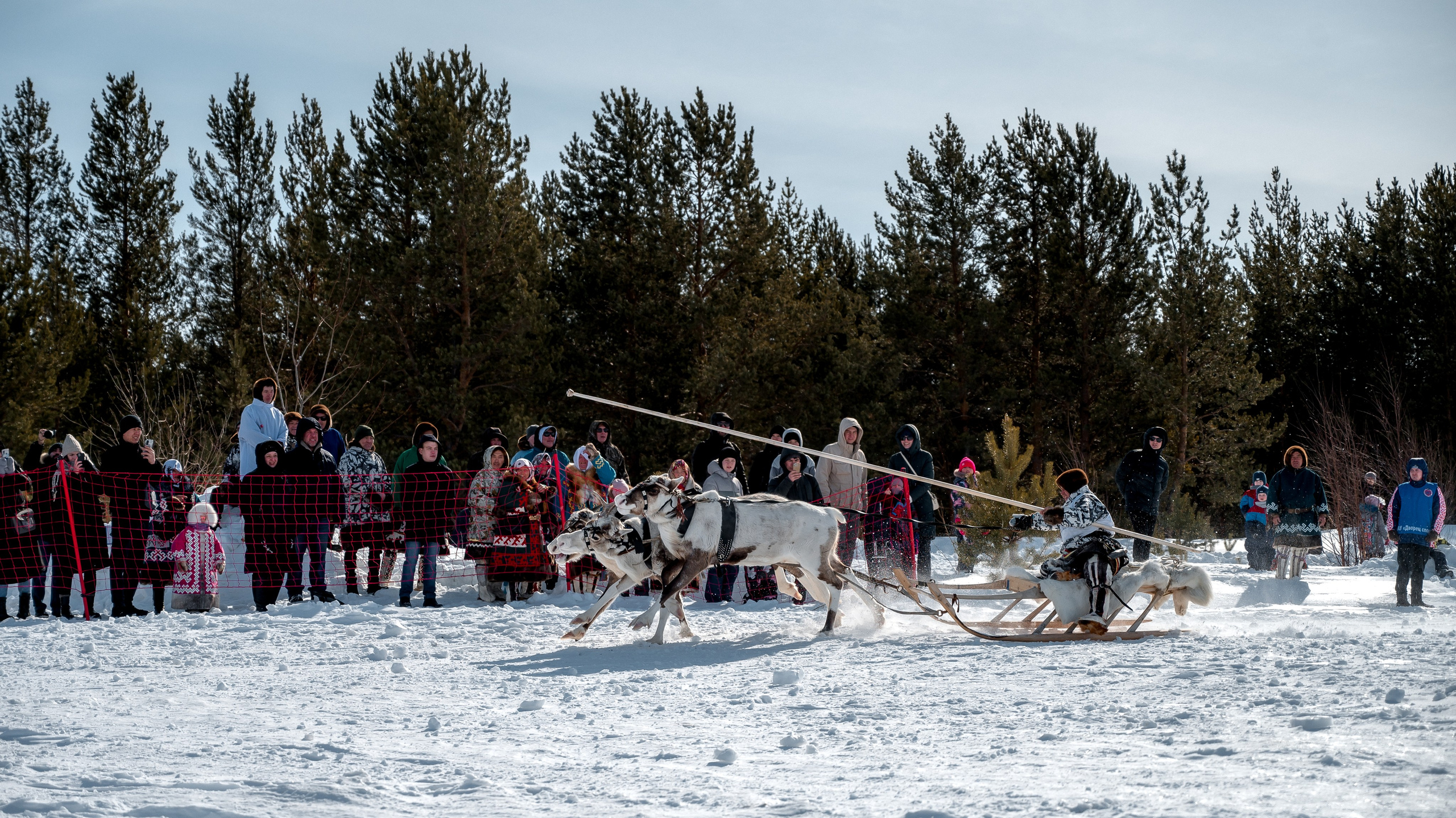 День оленевода г. Когалым. Фотограф Нижний Новгород