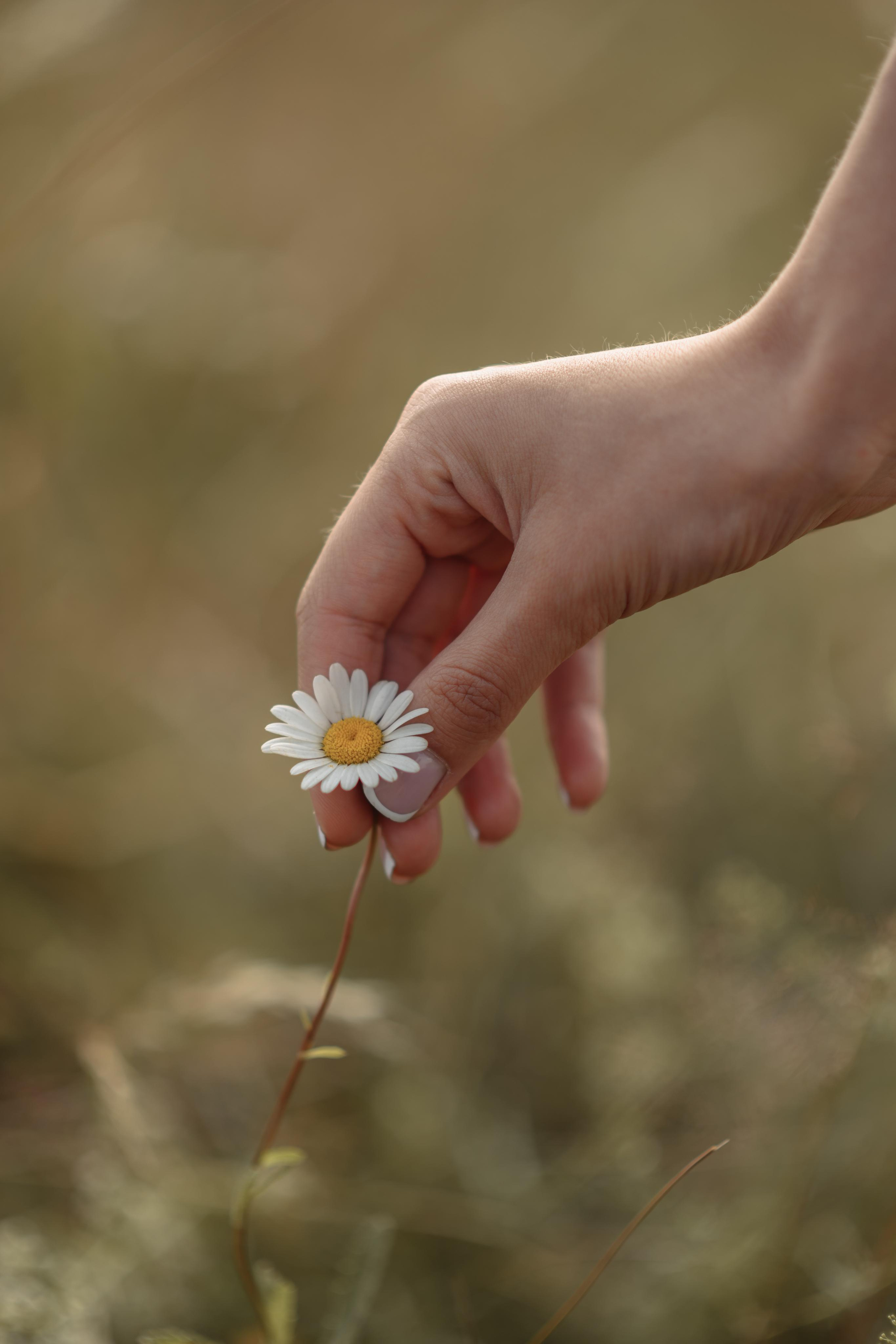 ИВЕТА. МАРГАРИТА КУДРЯШОВА СВАДЕБНЫЙ И СЕМЕЙНЫЙ ФОТОГРАФ ТВЕРЬ МОСКВА