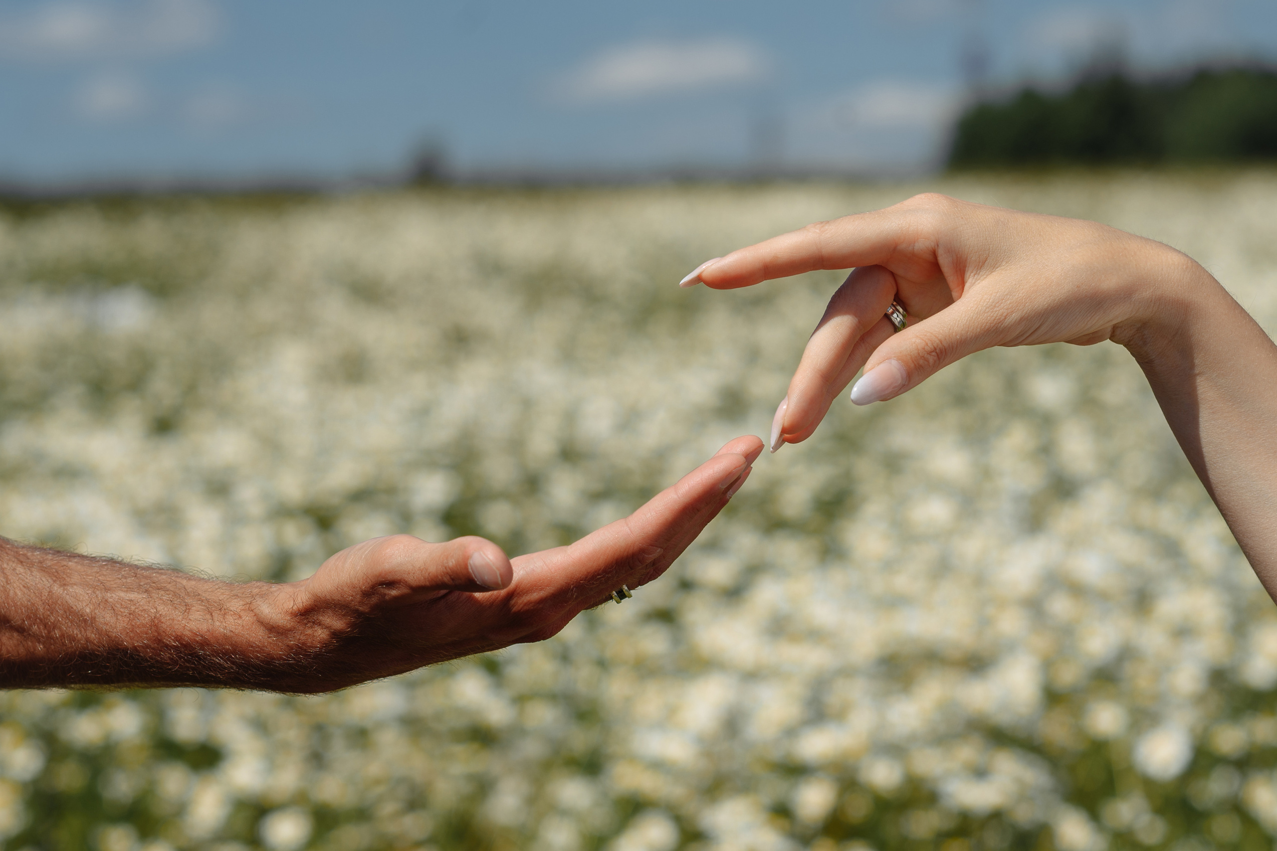 Полина и Владимир. МАРГАРИТА КУДРЯШОВА СВАДЕБНЫЙ И СЕМЕЙНЫЙ ФОТОГРАФ ТВЕРЬ МОСКВА