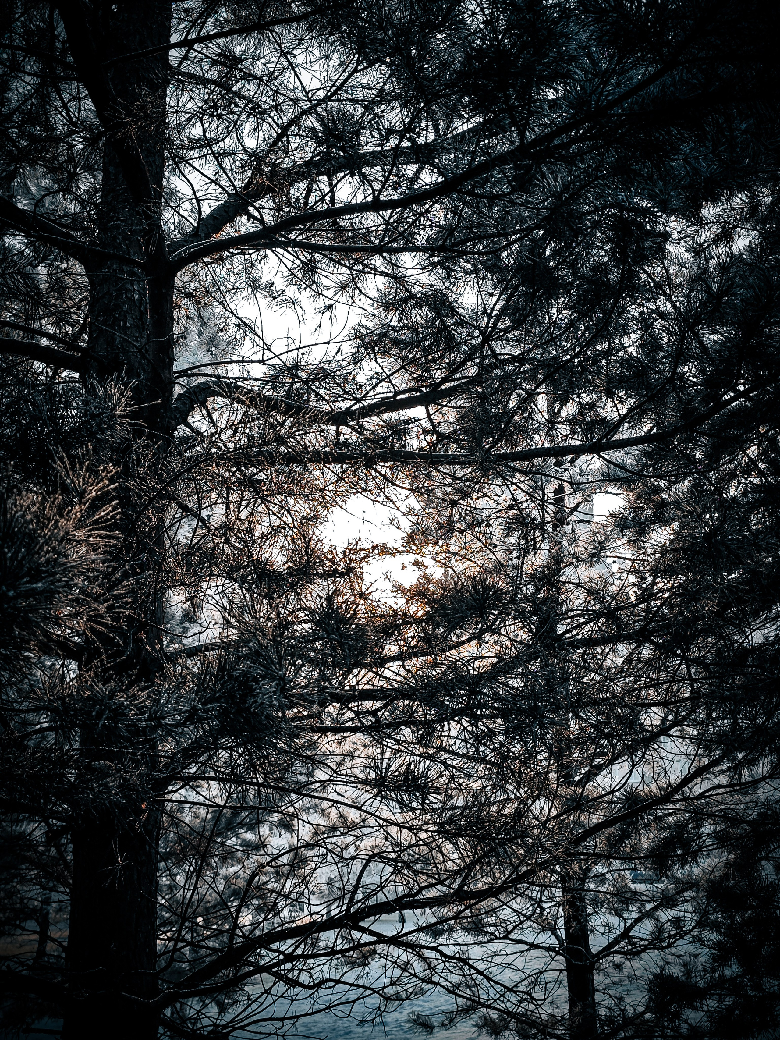 Скоро лето. Игорь Урывский. Фотограф Красноярск