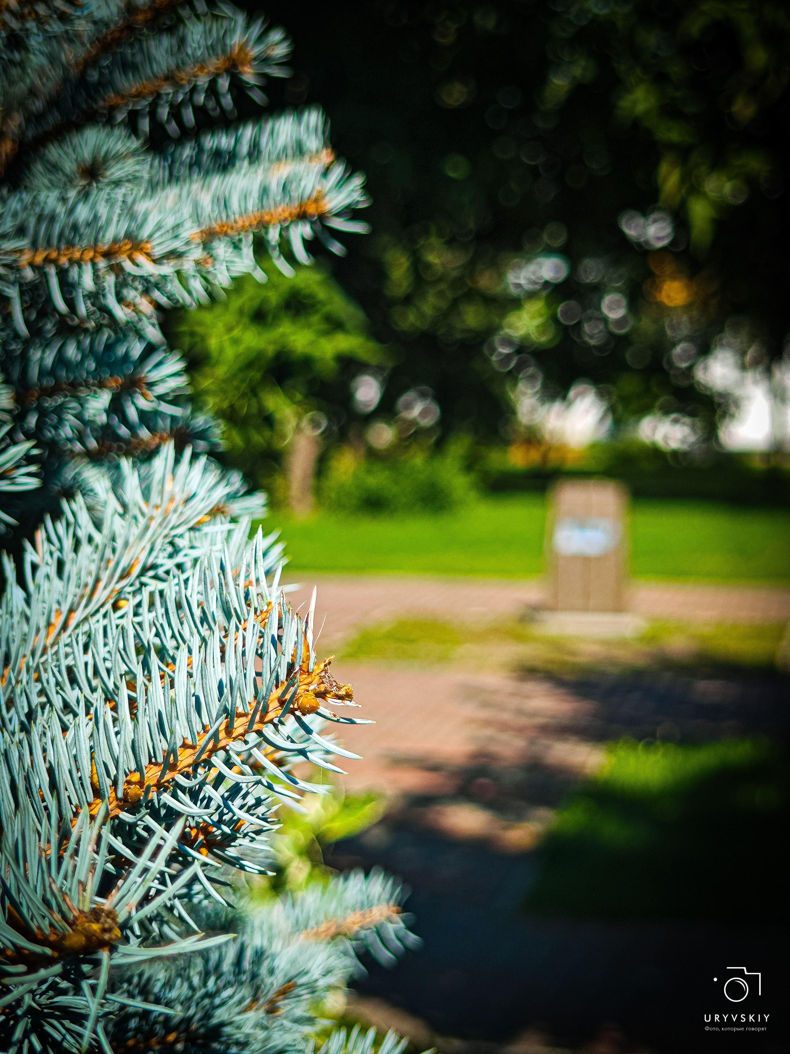 Больничный дворик. Игорь Урывский. Фотограф Красноярск