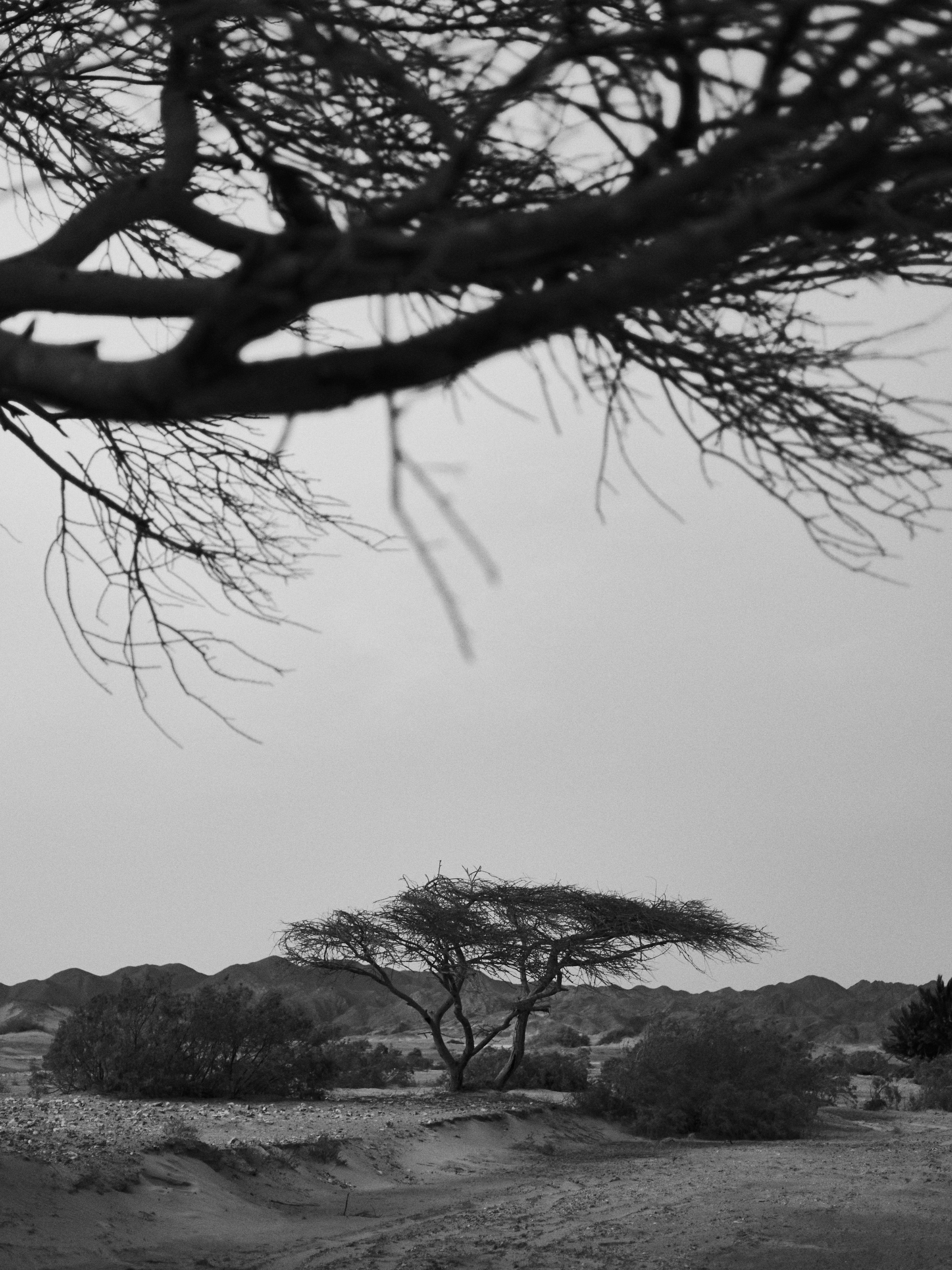 B&W. Jorgis — фотограф в Хургаде / обучение фотографии