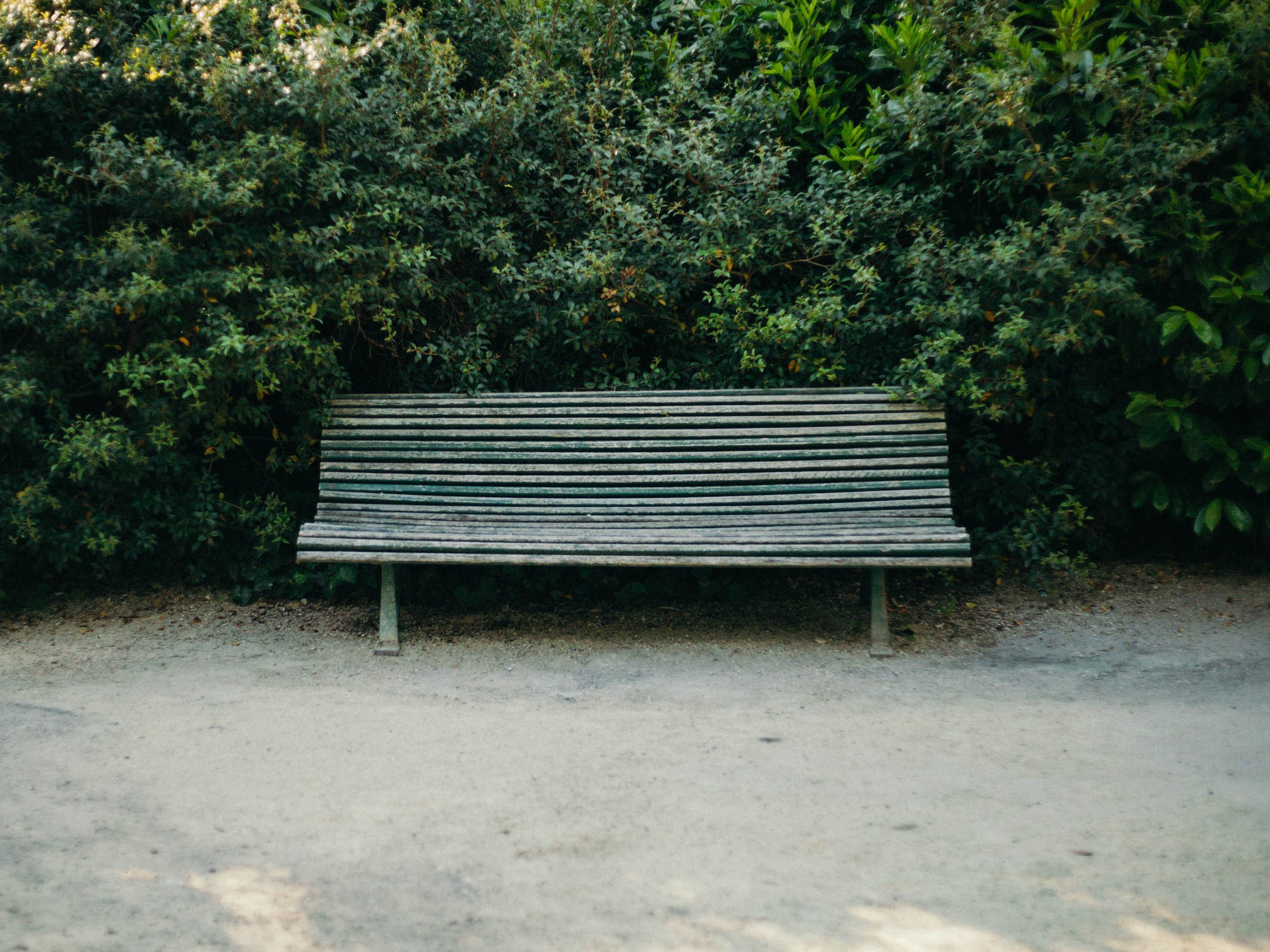 Nature. Street photographer Ksenya Loboda