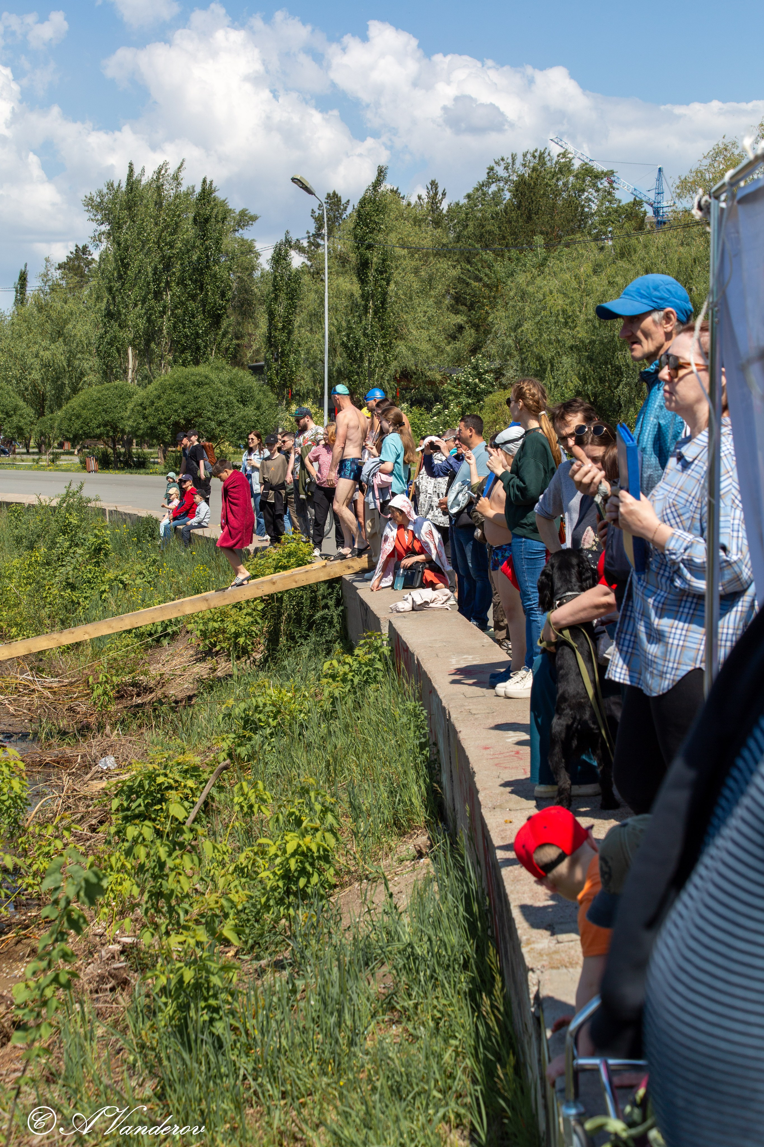 Заплыв 02.06.2024. Фотограф Омск | Александр Вандеров