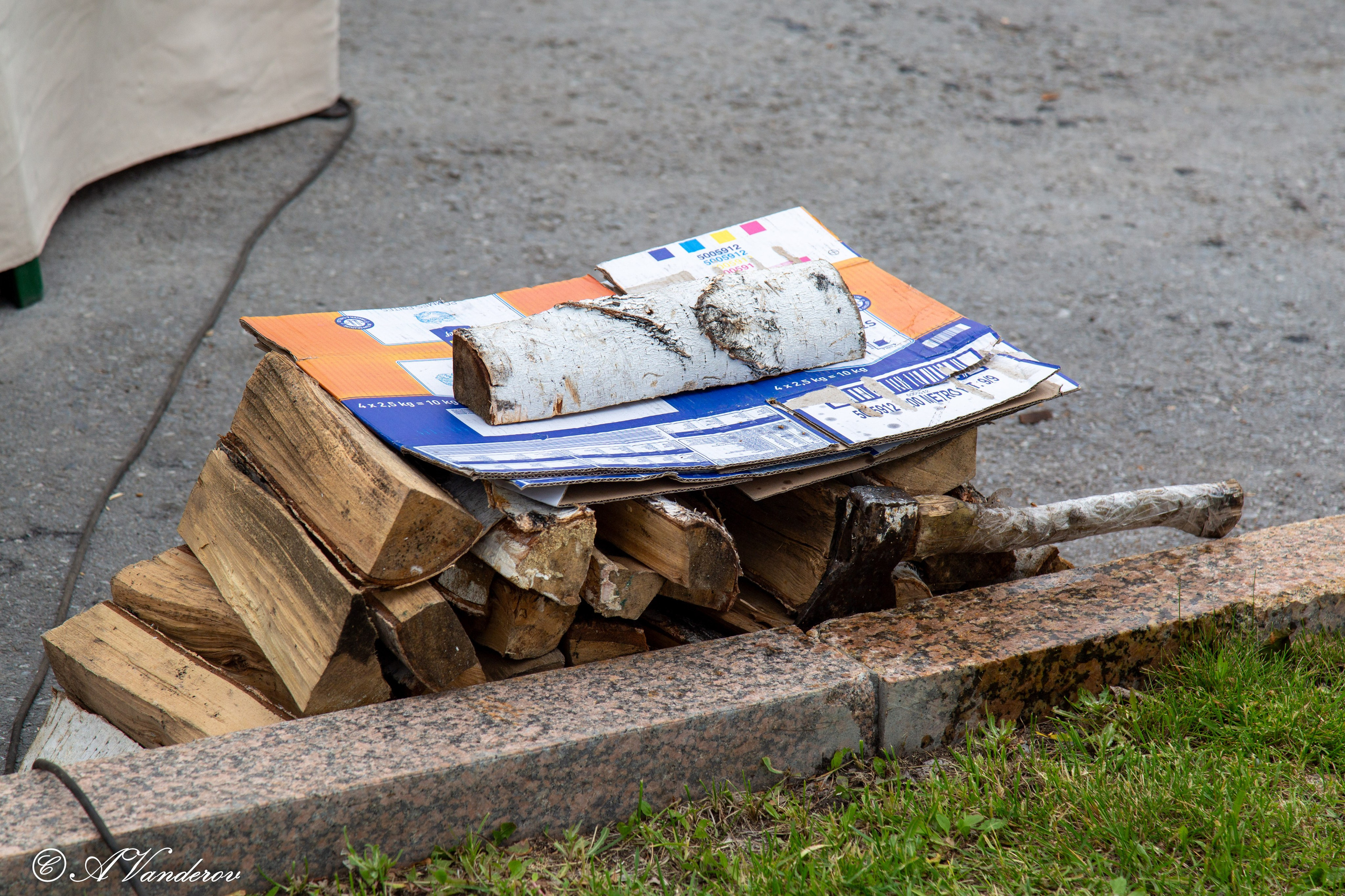 День России 12.06.2024. Фотограф Омск | Александр Вандеров