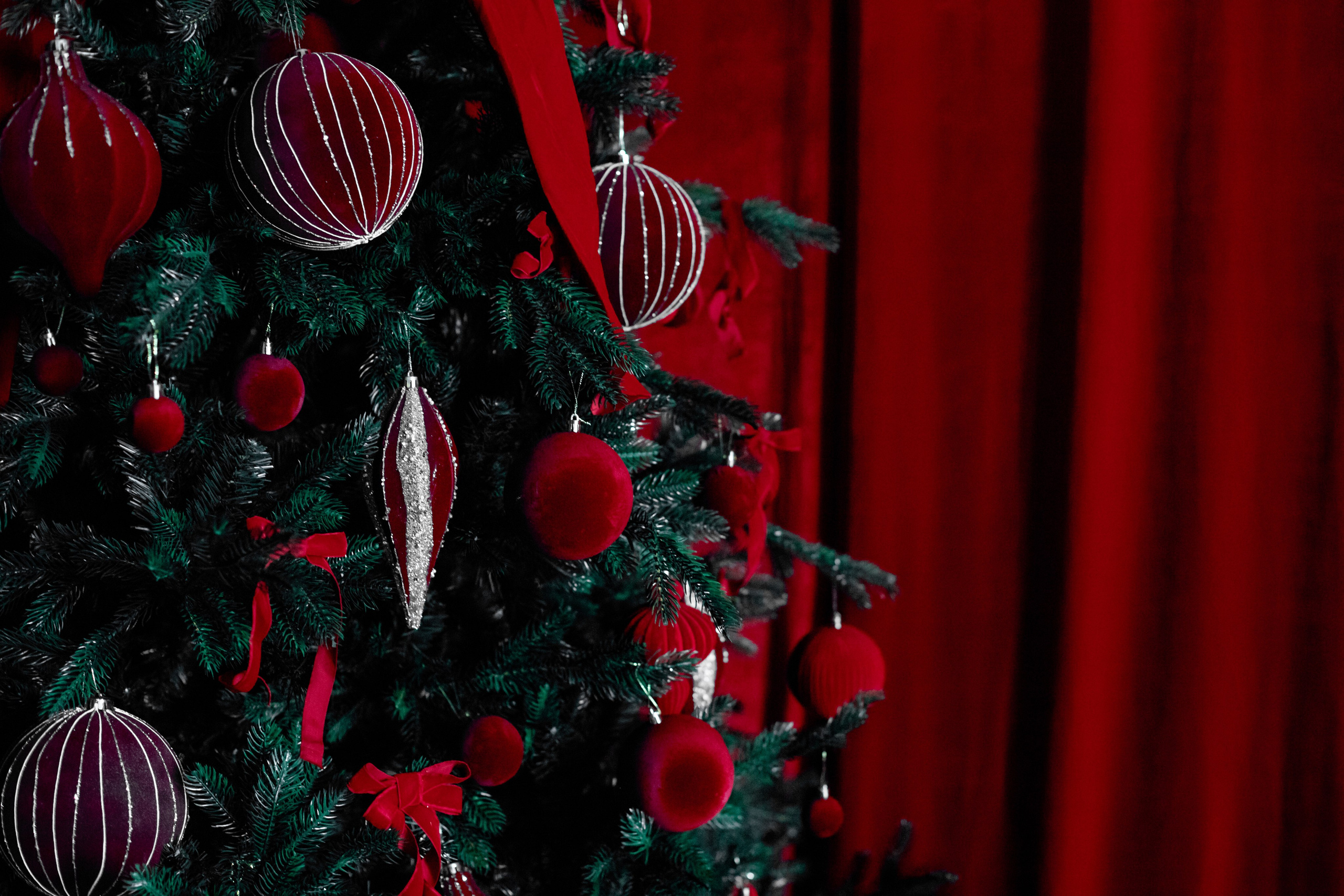 Черно-белый. Фотограф г. Хабаровск. Семейные и индивидуальные съёмки