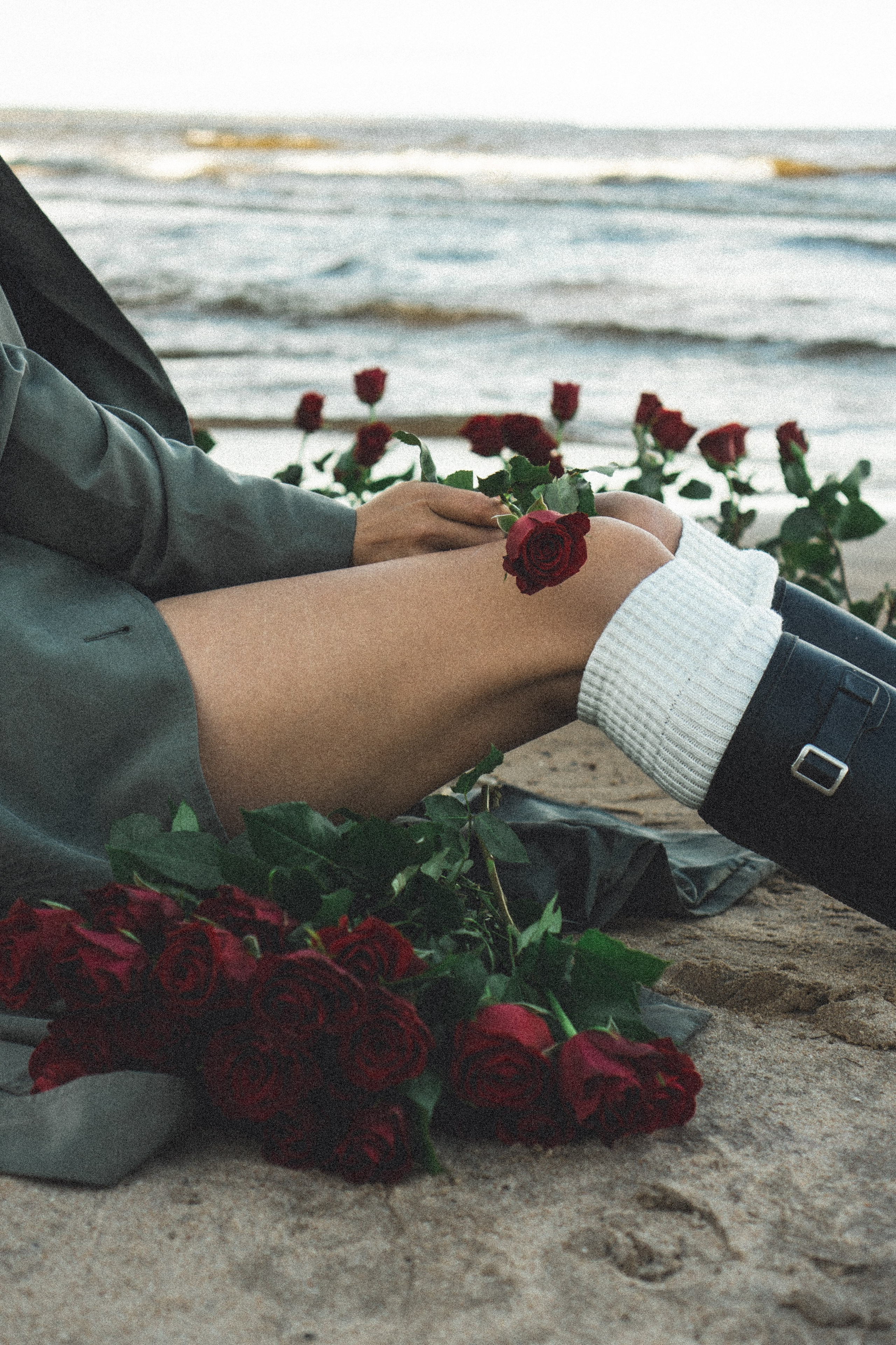 Розы. Профессиональный фотограф, Санкт-Петербург — Виктория Богомолова