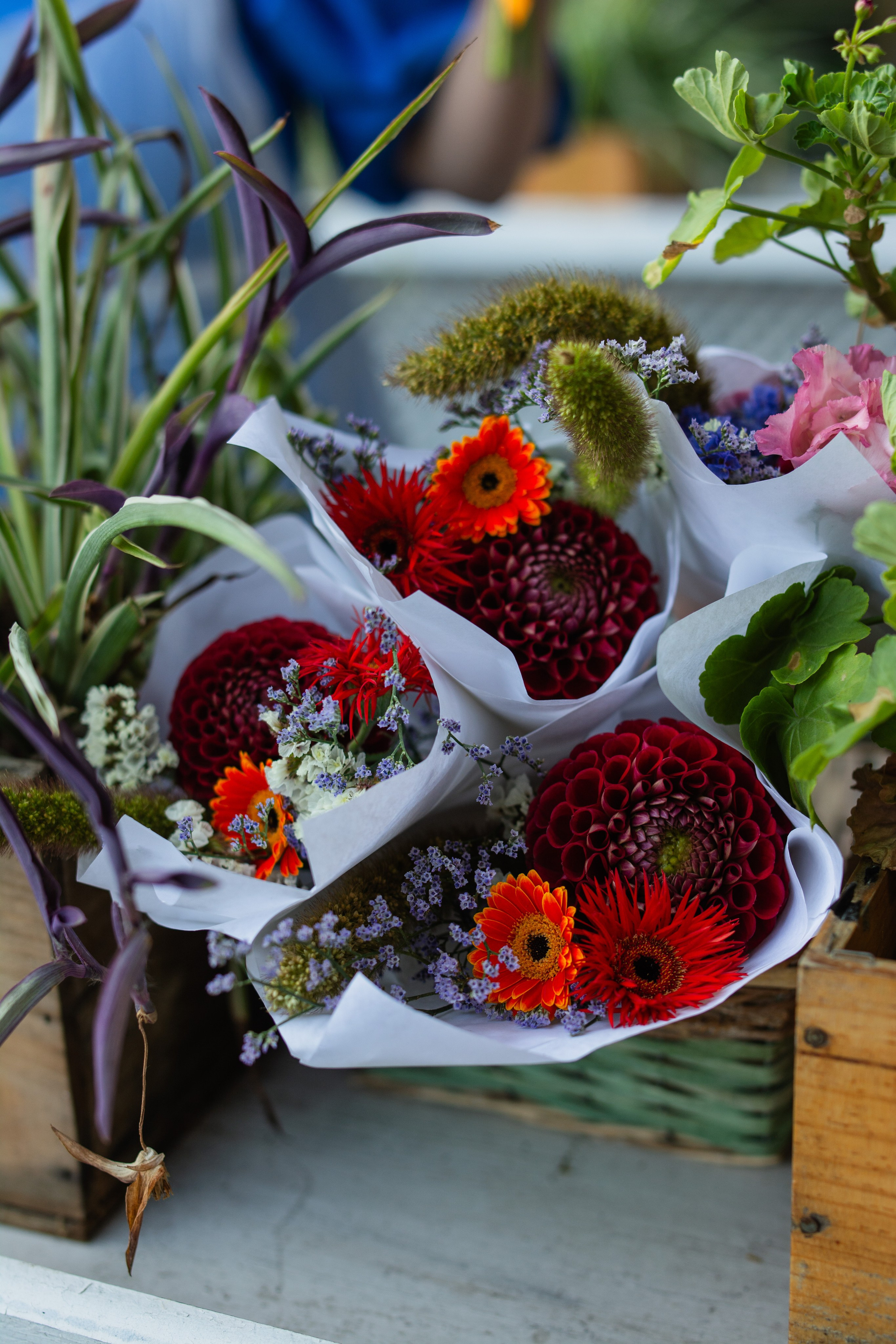 МК Картины. Фотограф в Москве Ангелина Ким