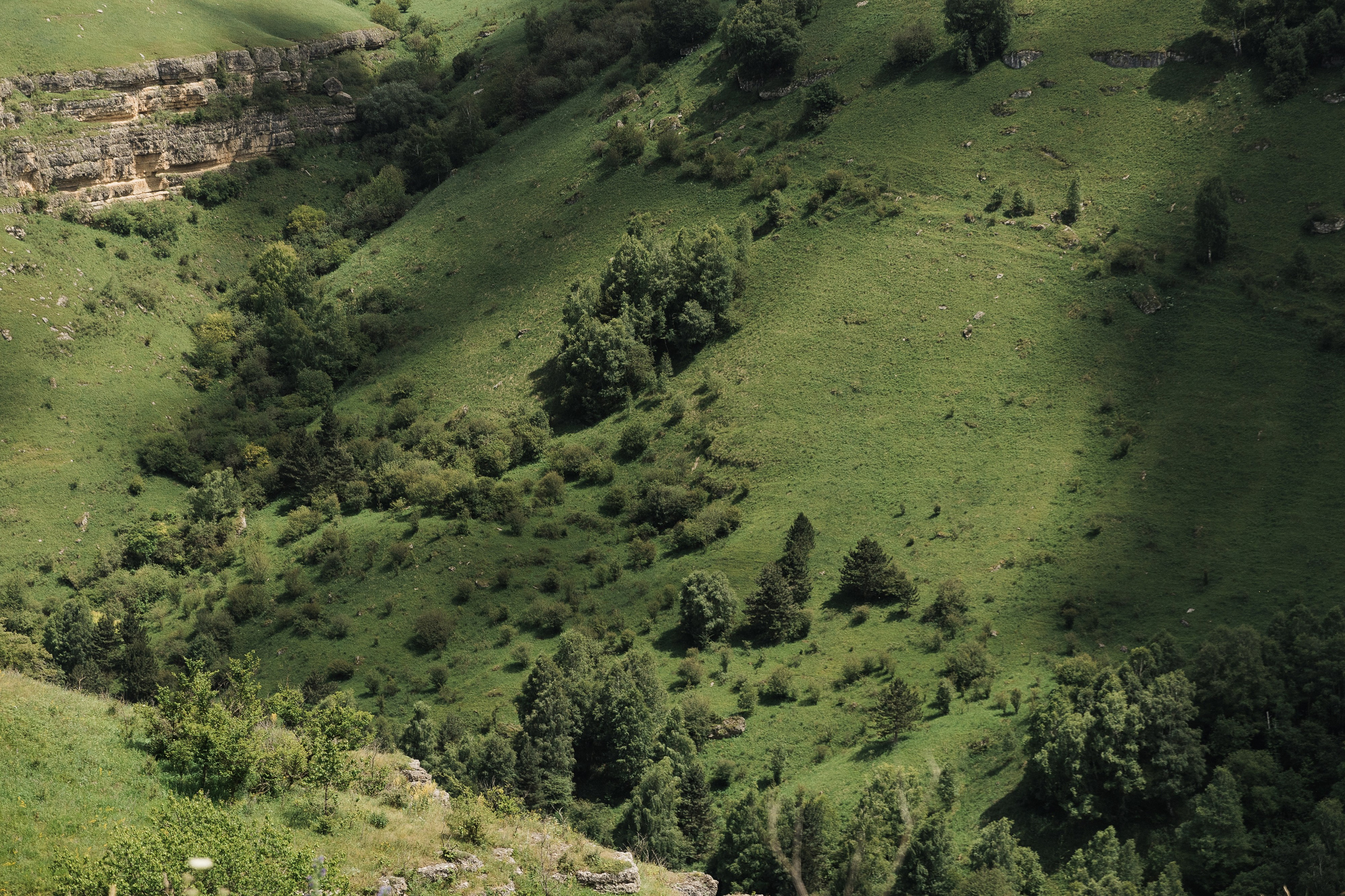 Между небом и землей (Кисловодск). Свадебный фотограф Ольга Ермакович