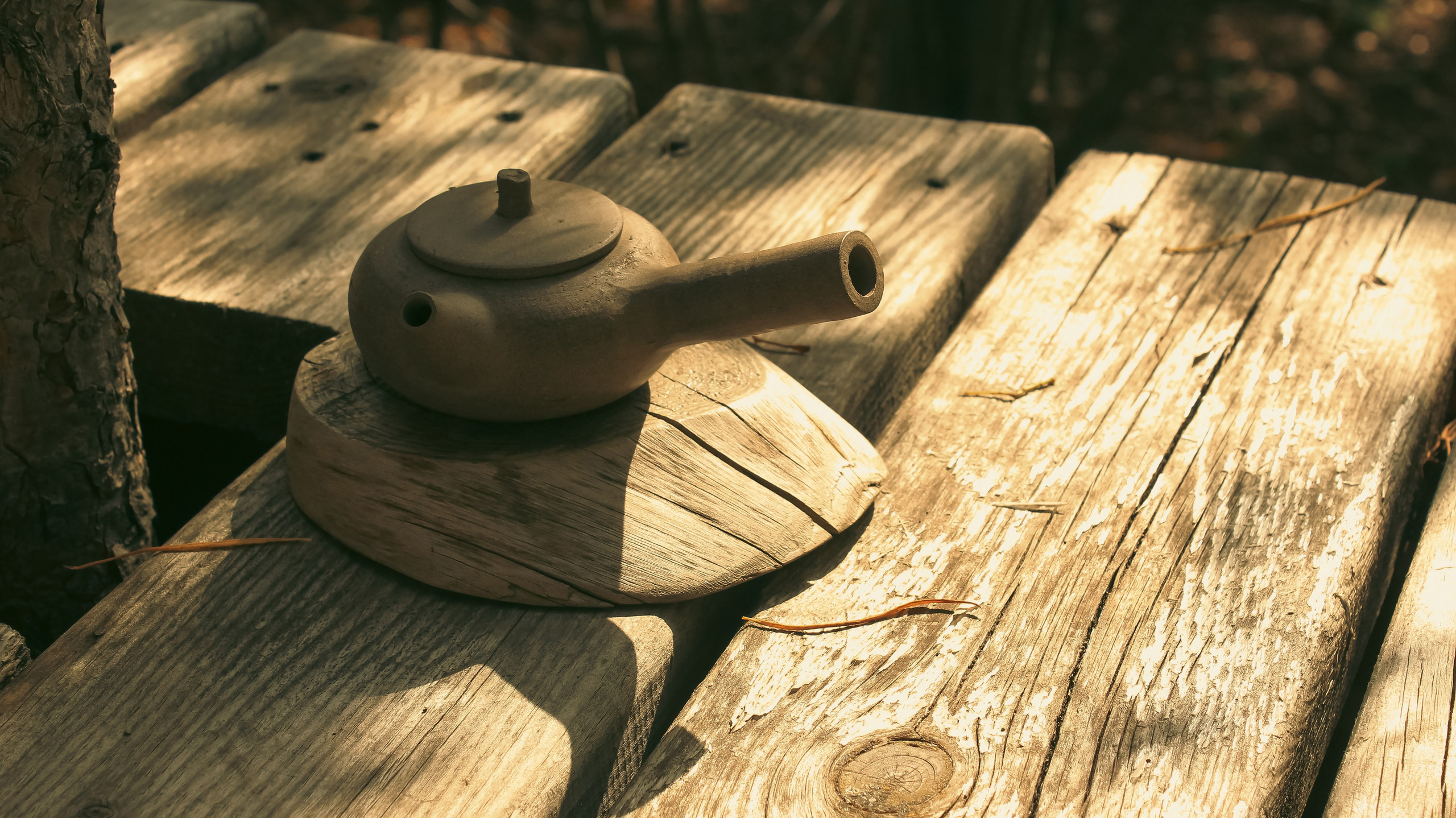 TMN ivapark '24. Фотограф/дизайнер в Екатеринбурге Хитрый Дмитрий