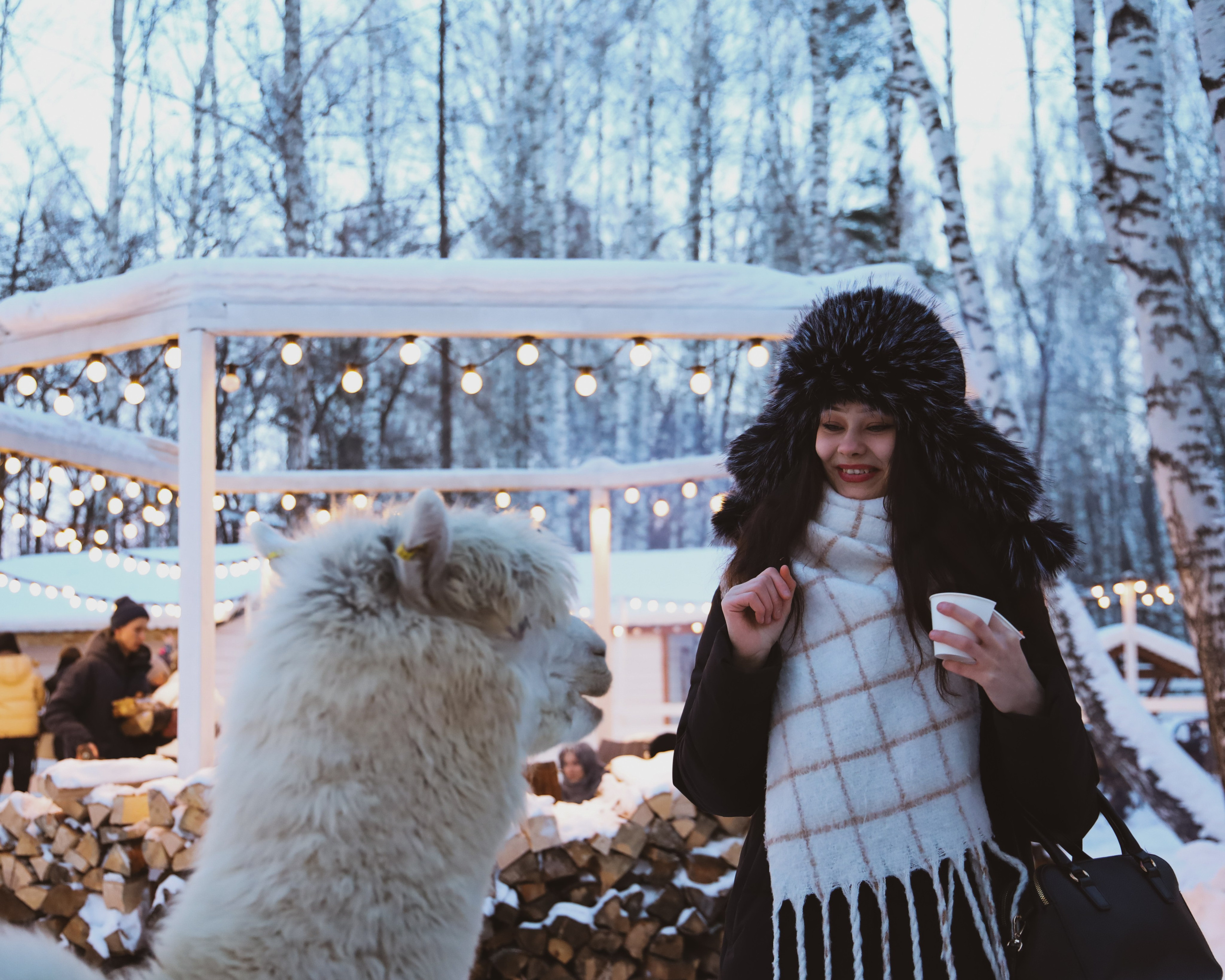 Alpaca park. Фотограф/дизайнер в Екатеринбурге Хитрый Дмитрий