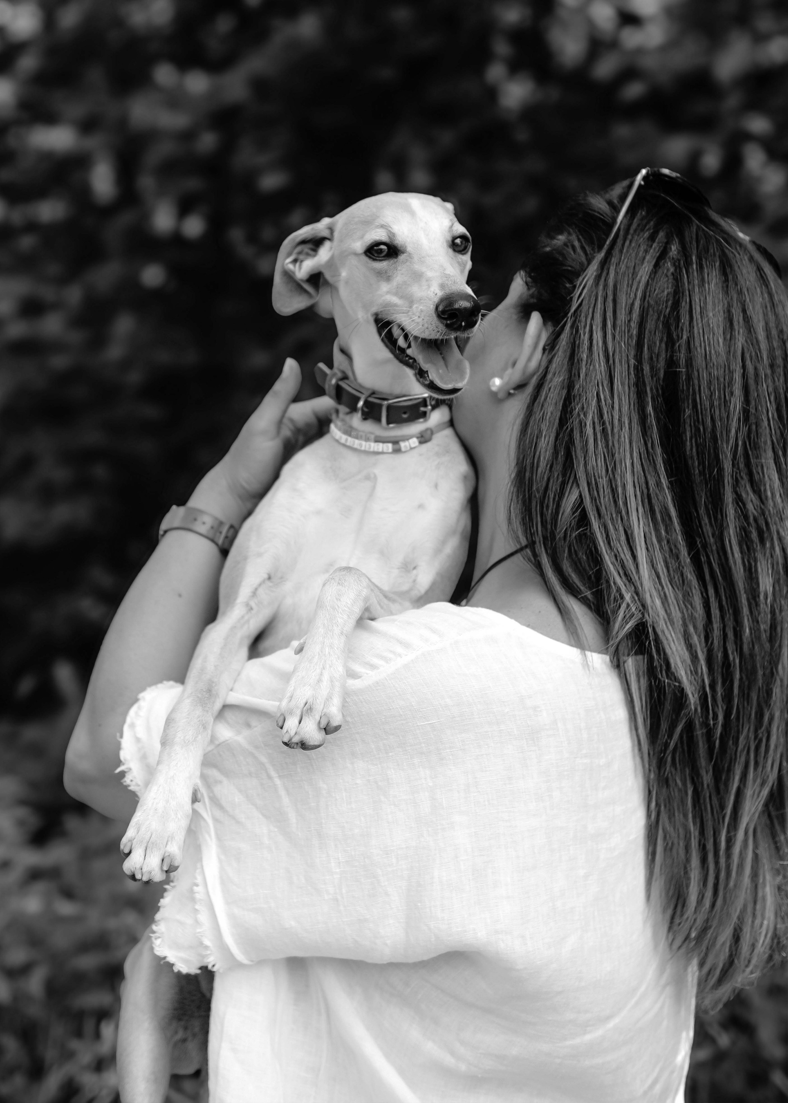 Портреты питомцев. Фотограф и видеограф в Минске Мария Войтик