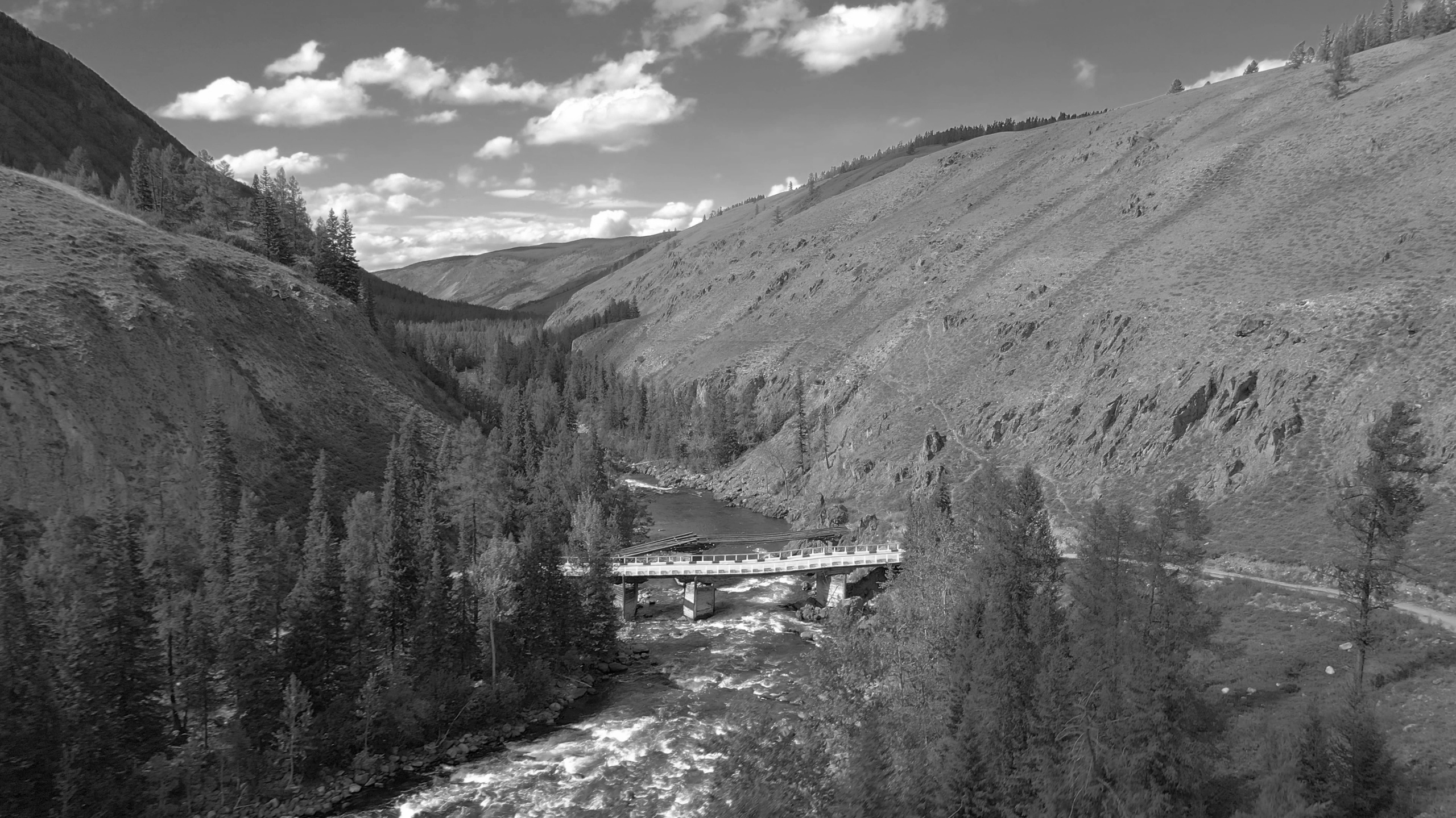 Презентационный ролик для Алтайского экологического форума «Нить природы»  2022 г.