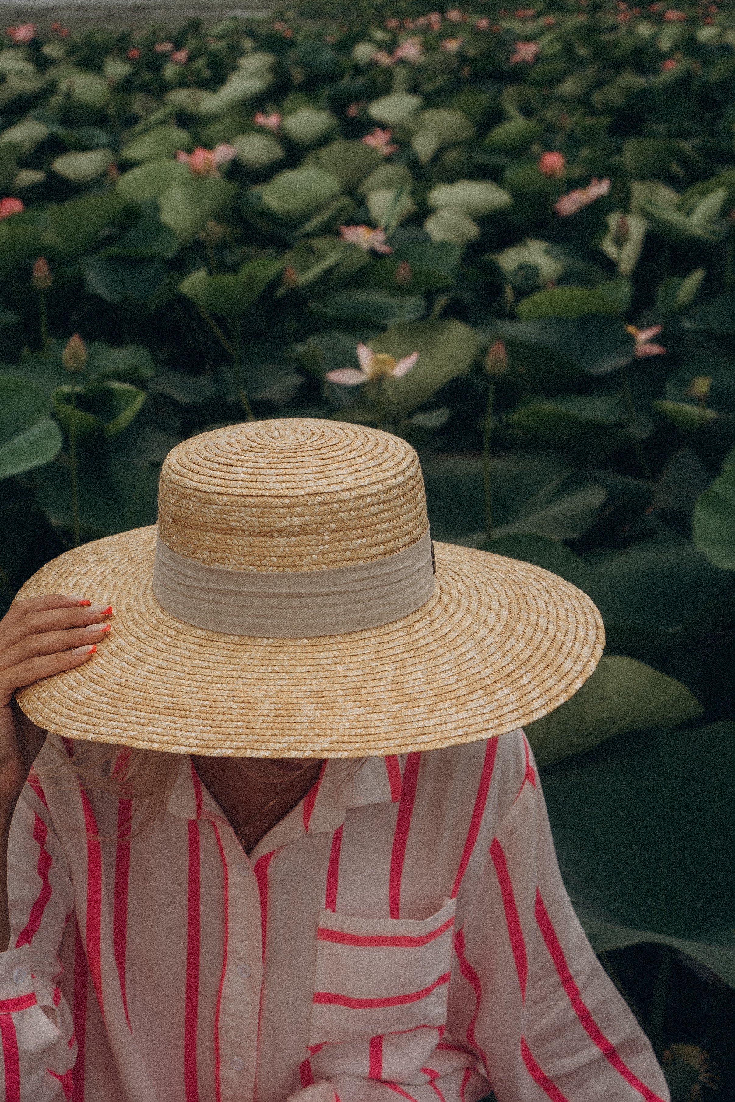ЛОТОСОВАЯ ПОЛЯНА. Профессиональный фотограф, Санкт-Петербург — Виктория Богомолова