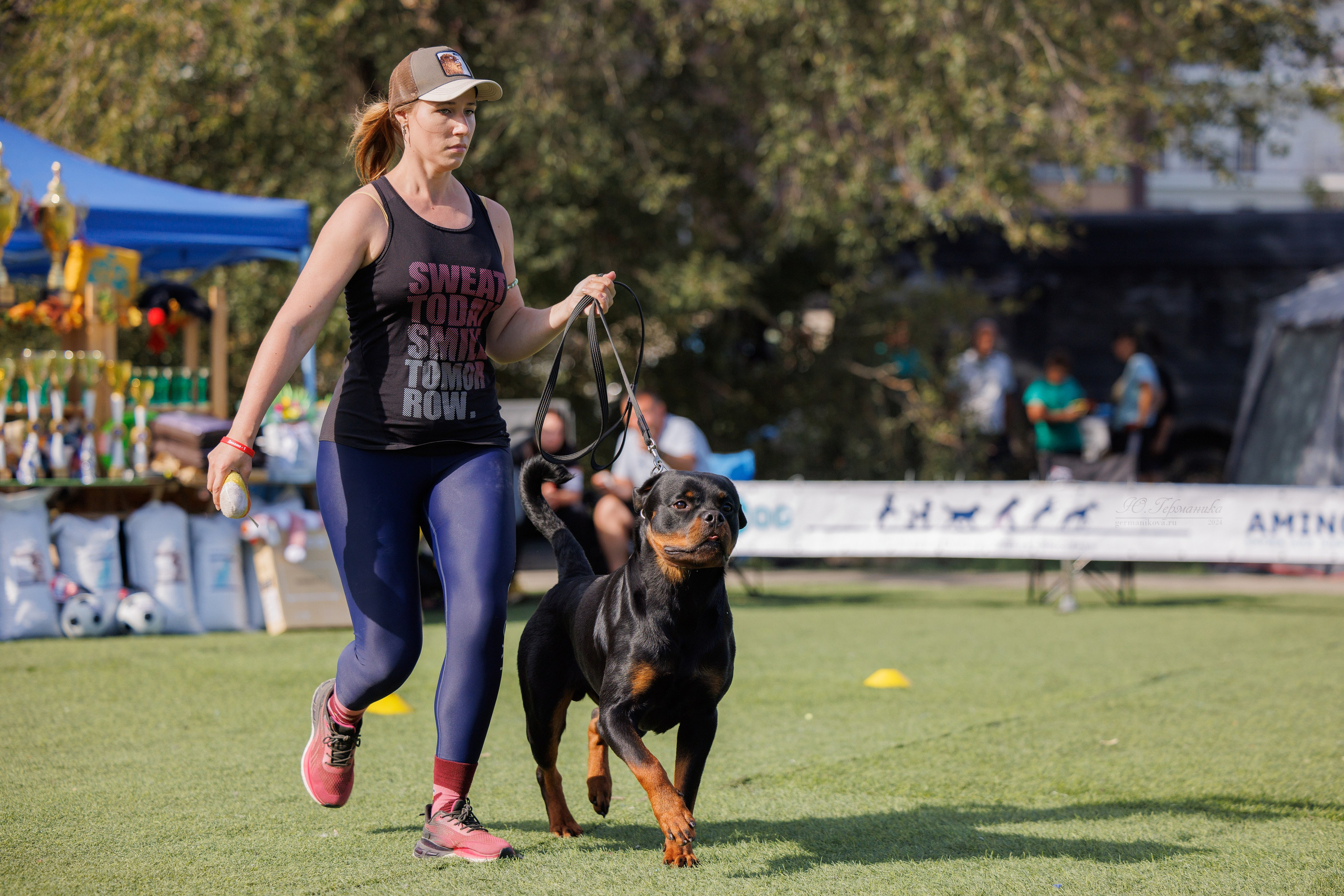 Анапа ротвейлеры 14-15.09.2024. Фотограф-анималист Юлия Германика