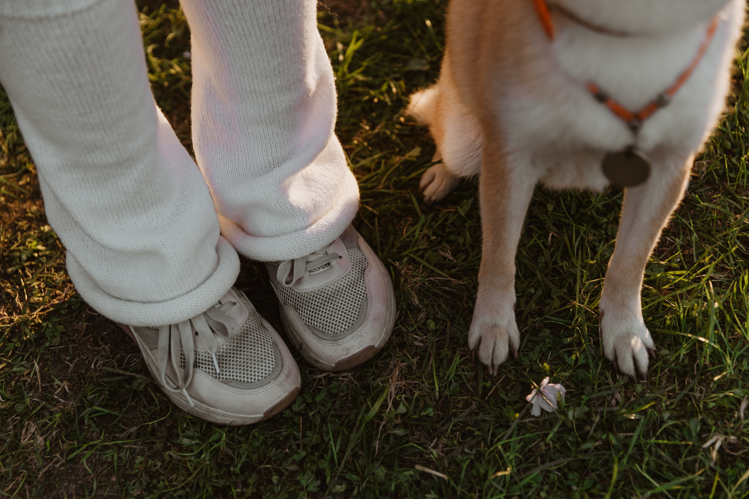 Анастасия и Тайра. Фотограф Южно-Сахалинск Сахалин Анастасия Тучина