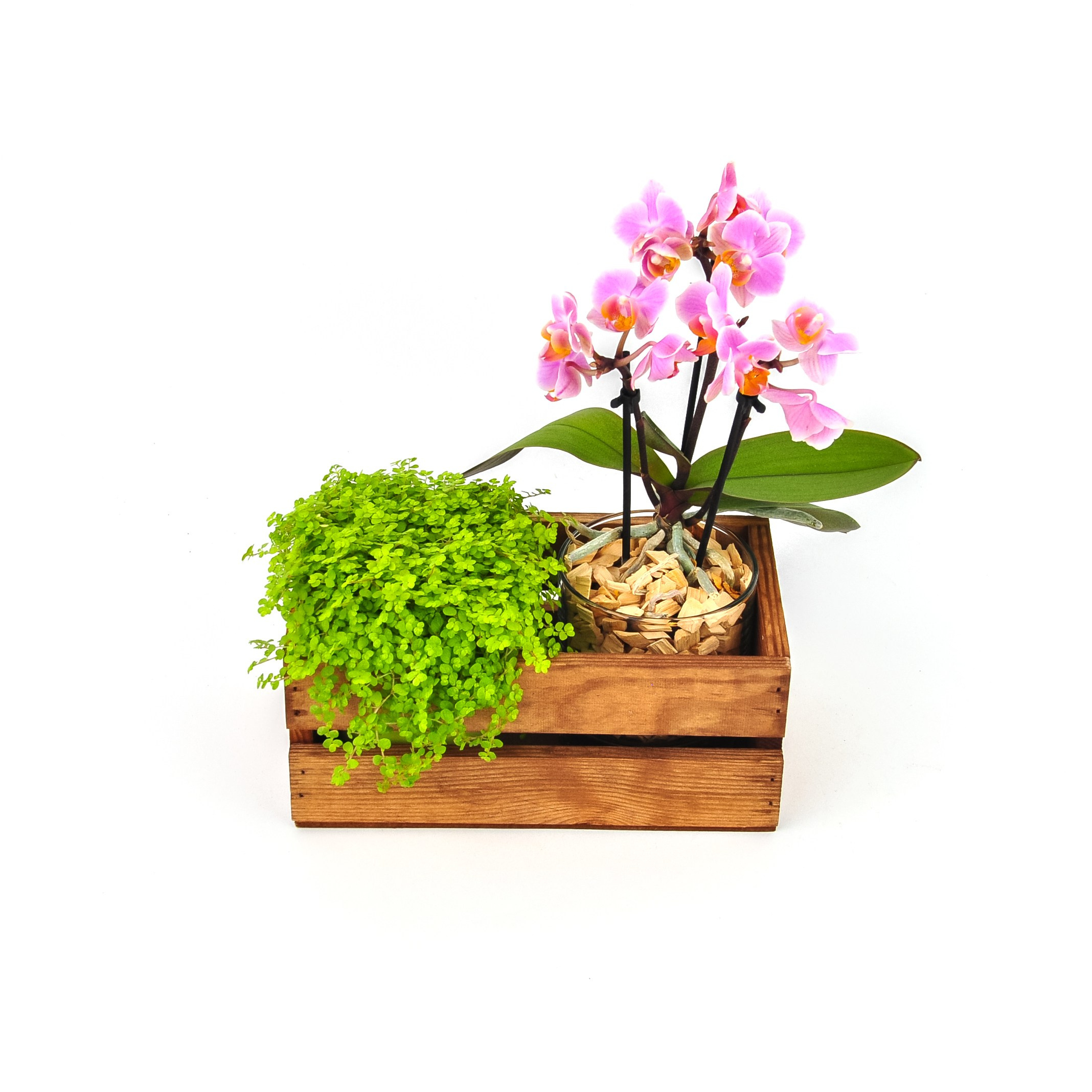 Предметная фотосъемка и реклама. Портретный, семейный фотограф Марина Моисеева