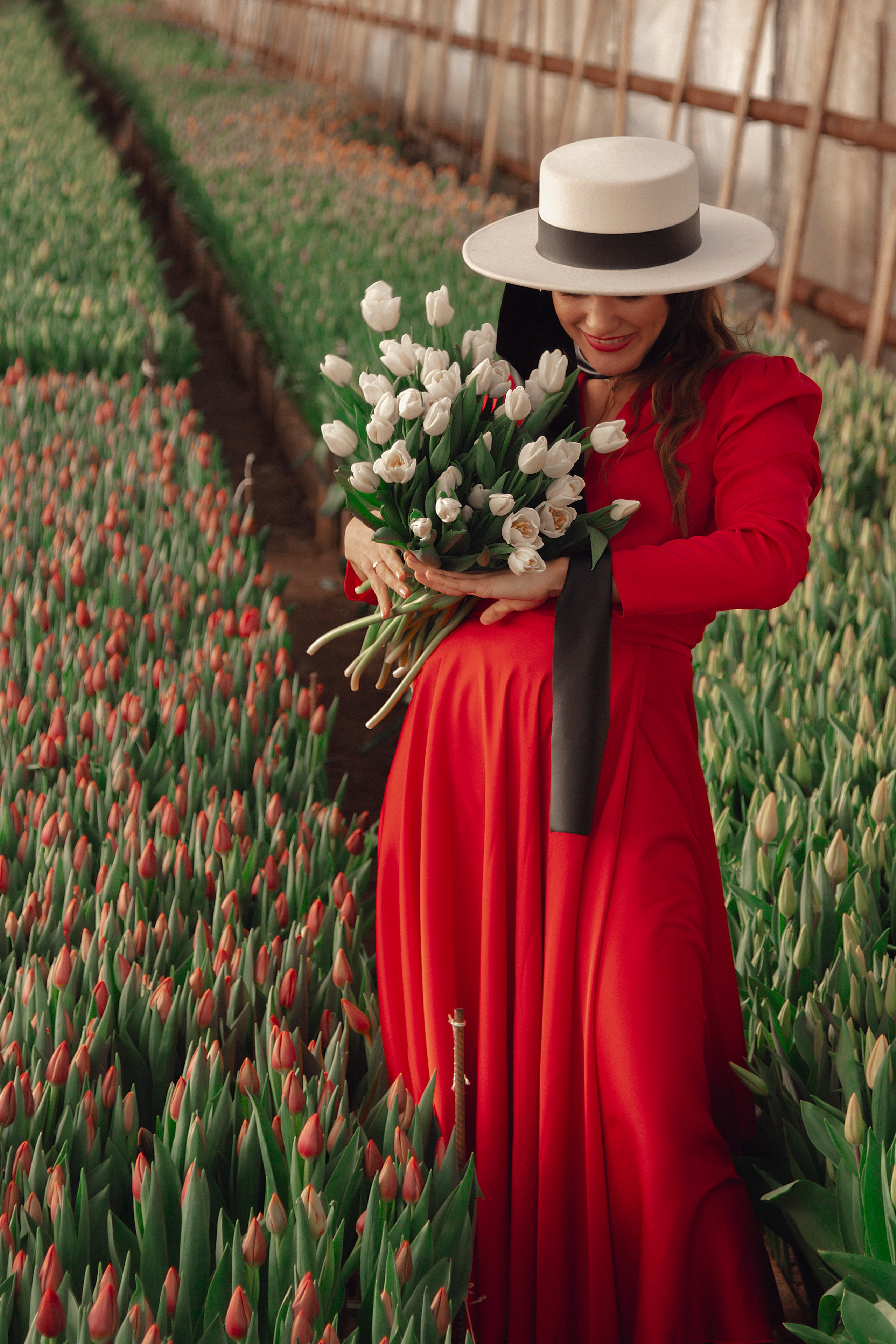 Фотодень в теплице с тюльпанами. Фотограф Ольга Бобб Нижний Новгород