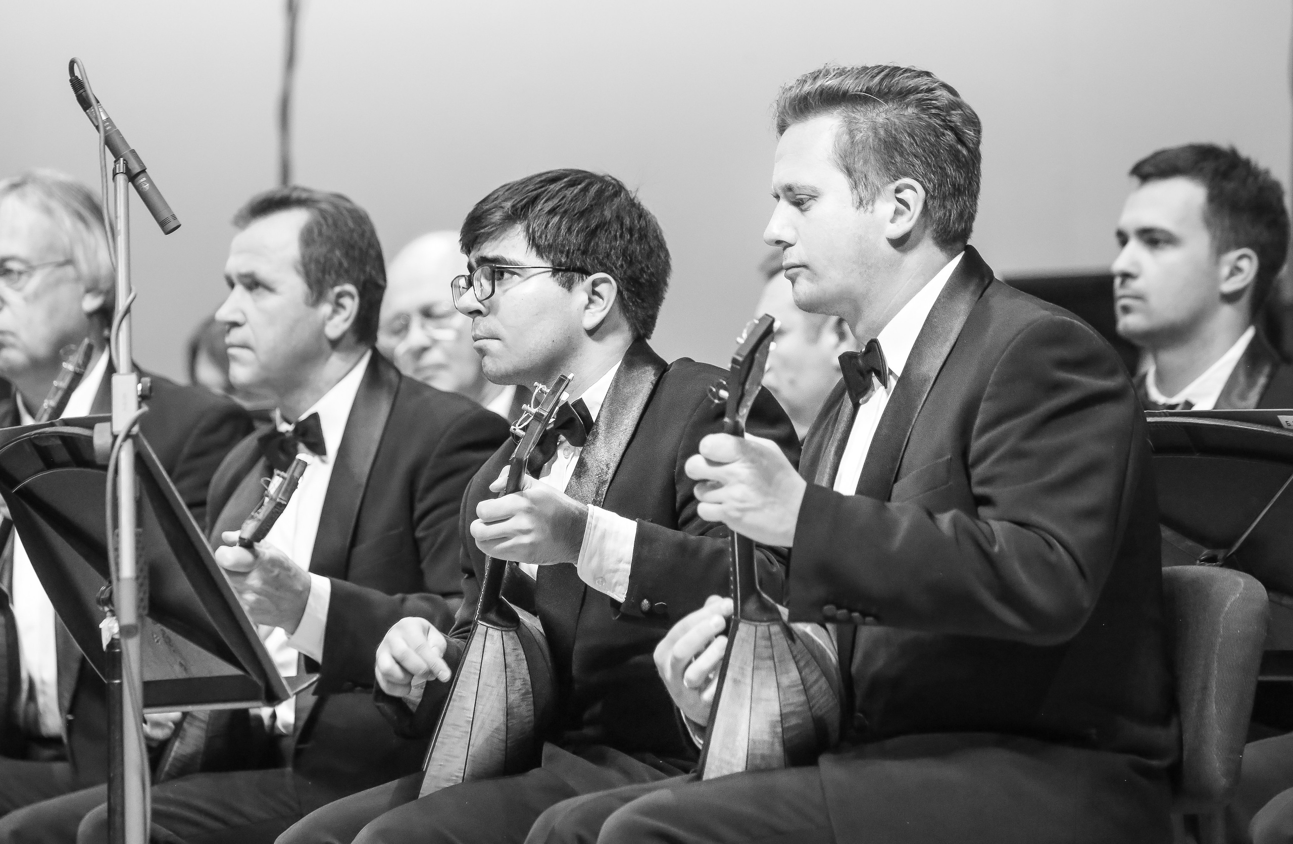 Прогулки по Москве с Осиповским оркестром. Дарья Письменюк / Darya Leitstern — фотограф, музыкант, журналист, путешественник