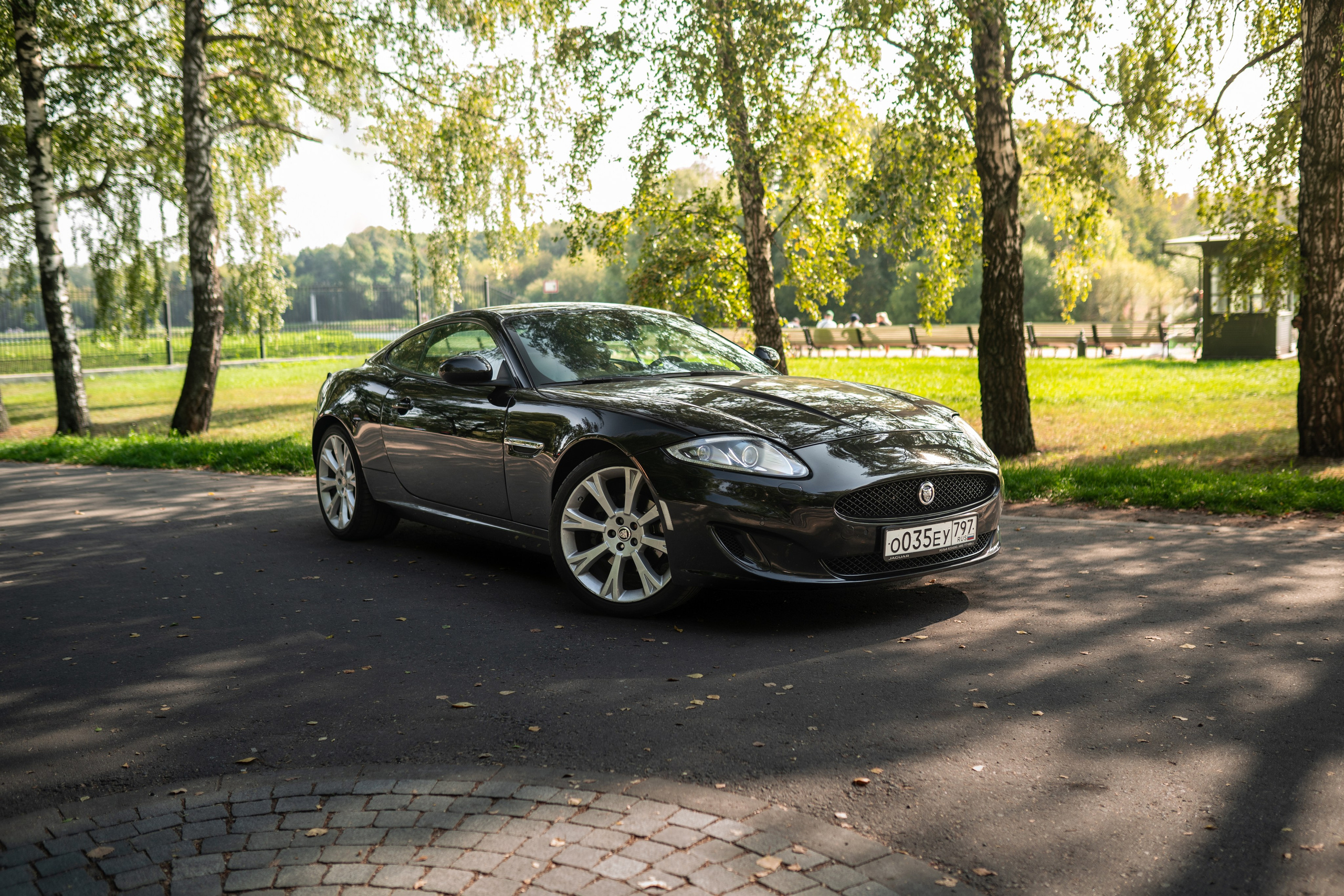 Jaguar Xk. Mirllaev