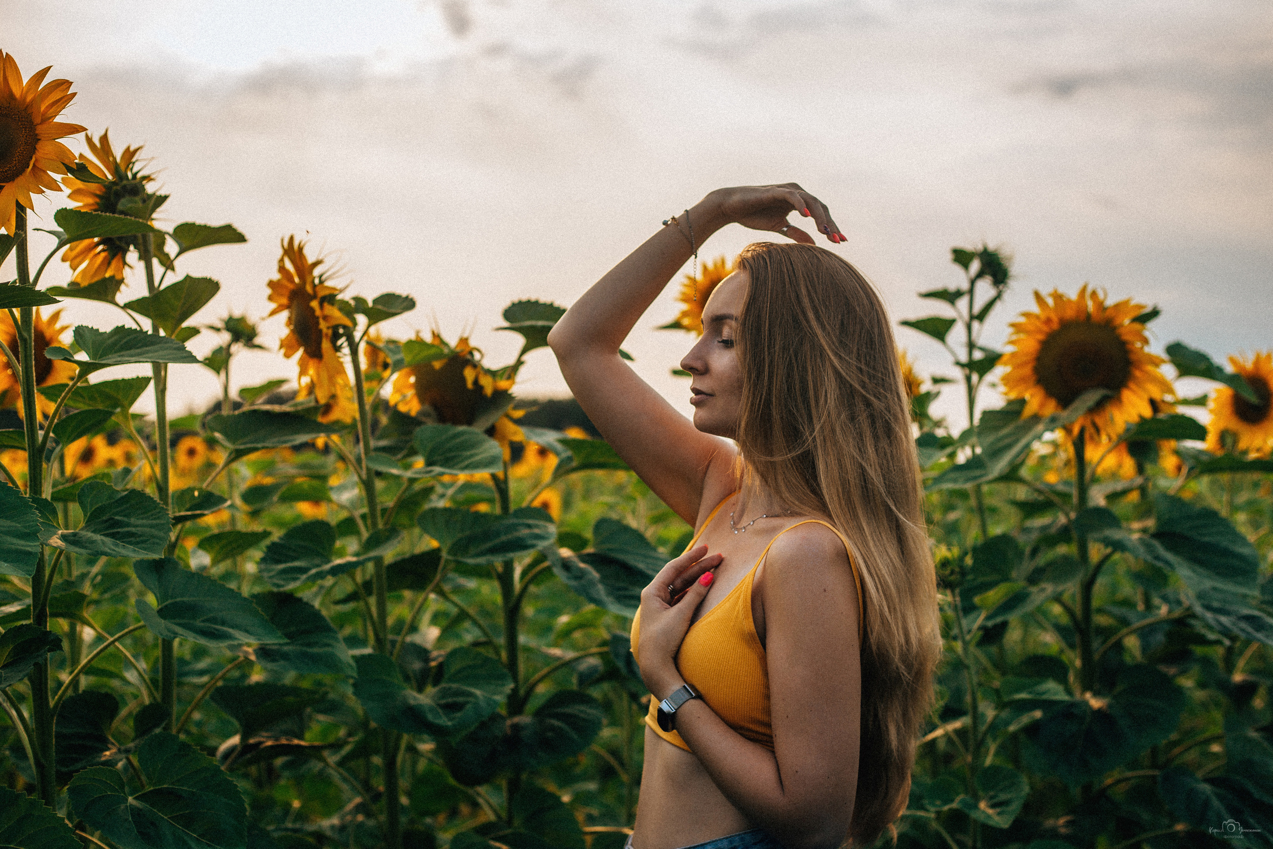 Анастасия (2022 поле подсолнечника). Фотограф Челябинск — Кирилл Устюжанин