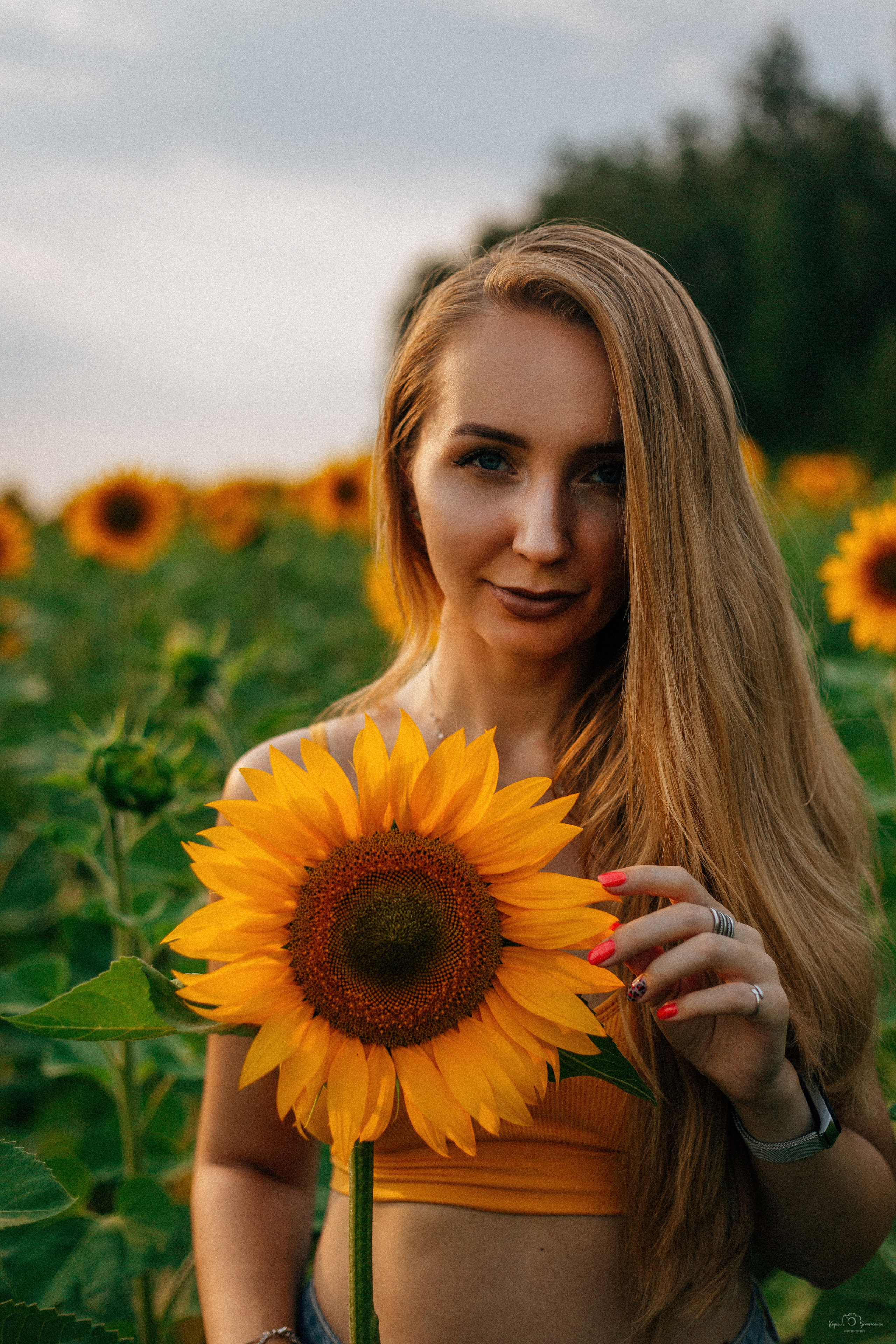 Анастасия (2022 поле подсолнечника). Фотограф Челябинск — Кирилл Устюжанин