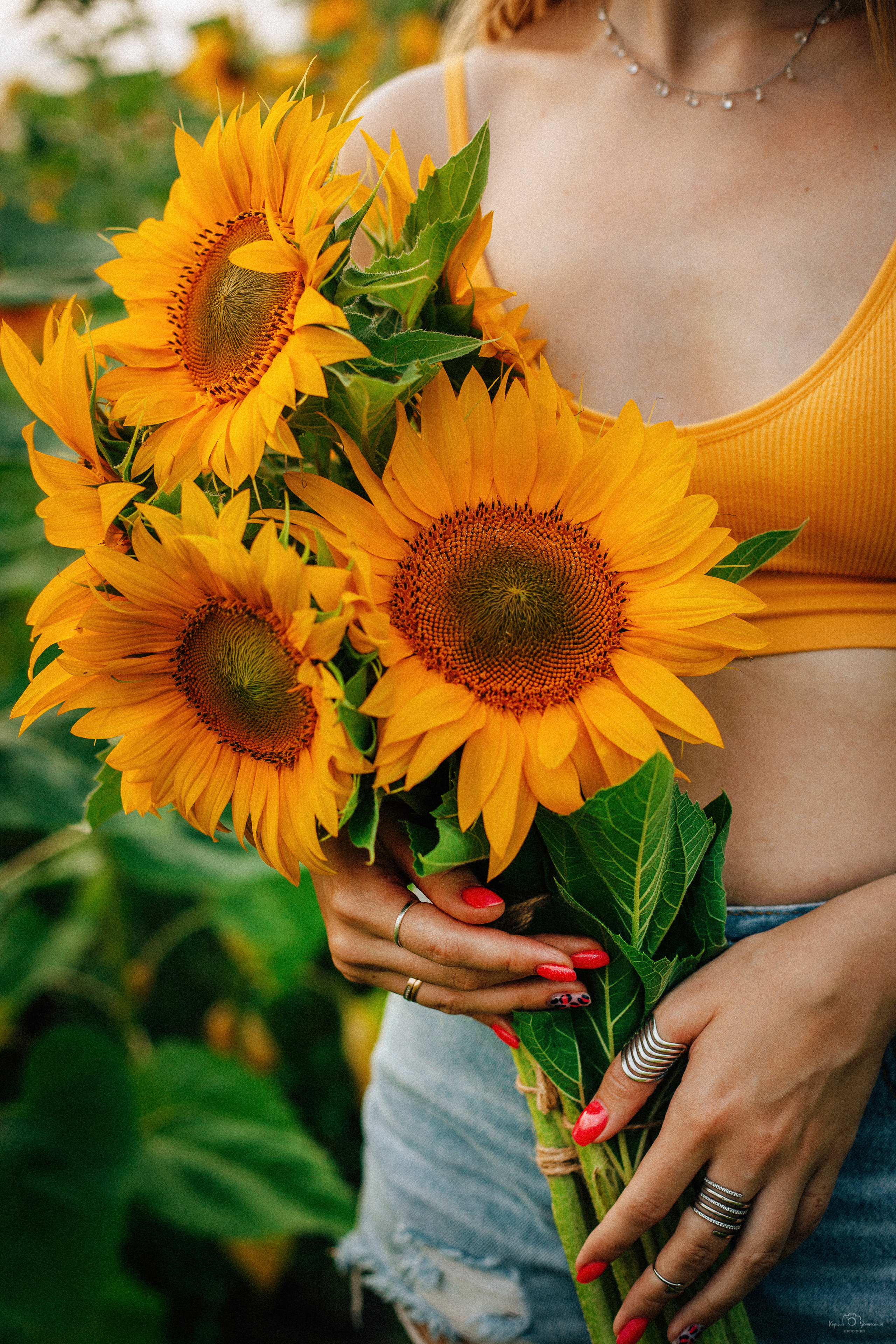 Анастасия (2022 поле подсолнечника). Фотограф Челябинск — Кирилл Устюжанин