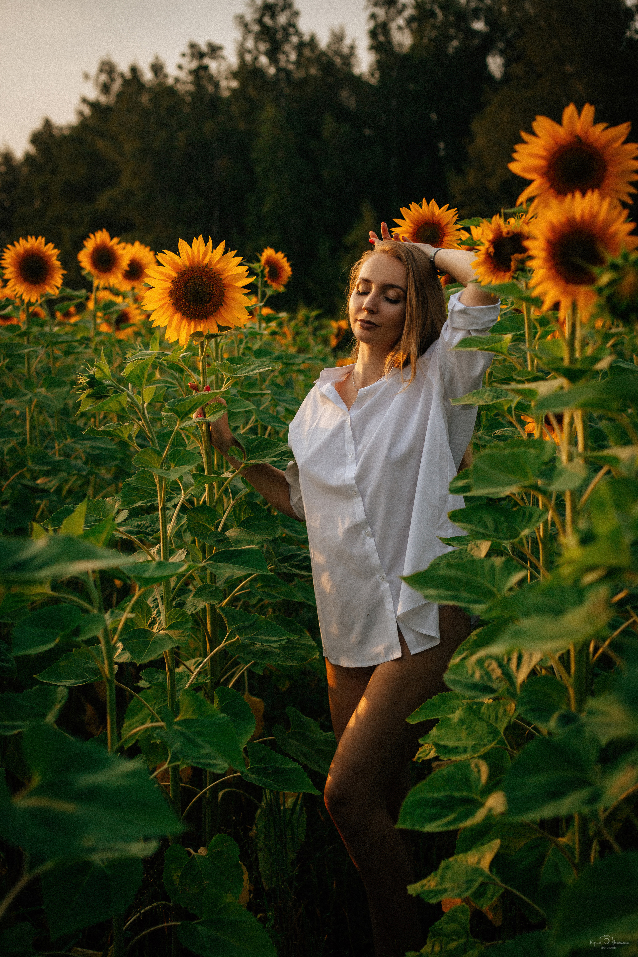 Анастасия (2022 поле подсолнечника). Фотограф Челябинск — Кирилл Устюжанин