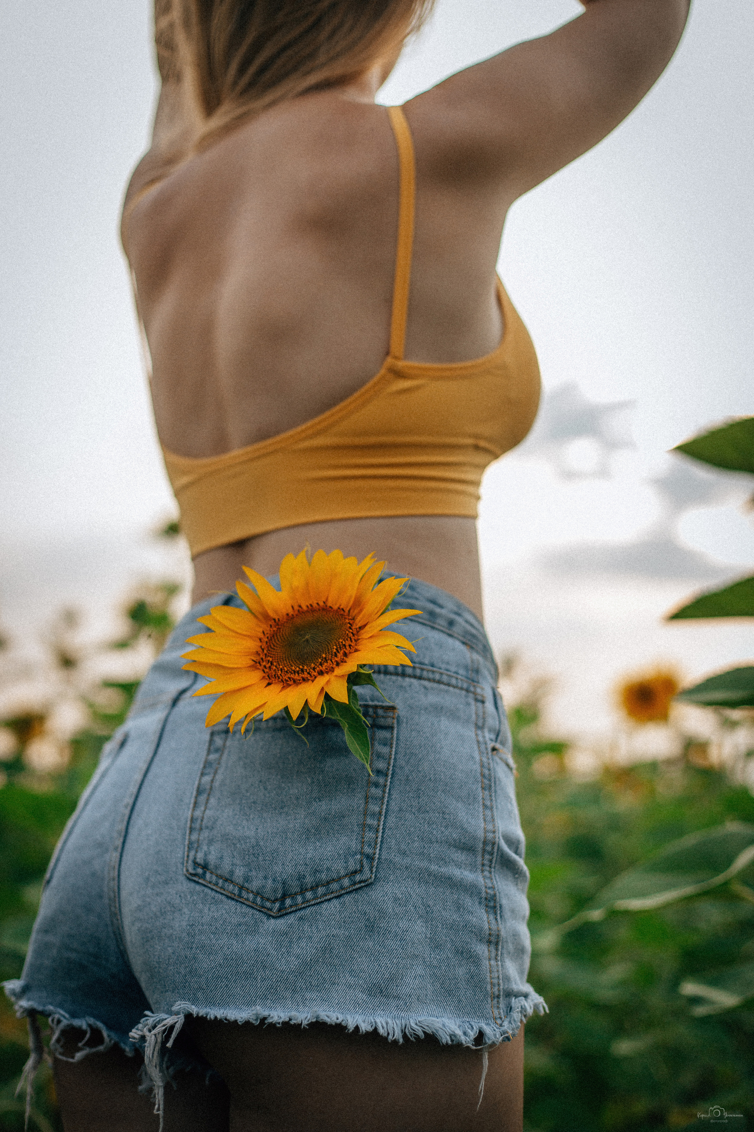 Анастасия (2022 поле подсолнечника). Фотограф Челябинск — Кирилл Устюжанин