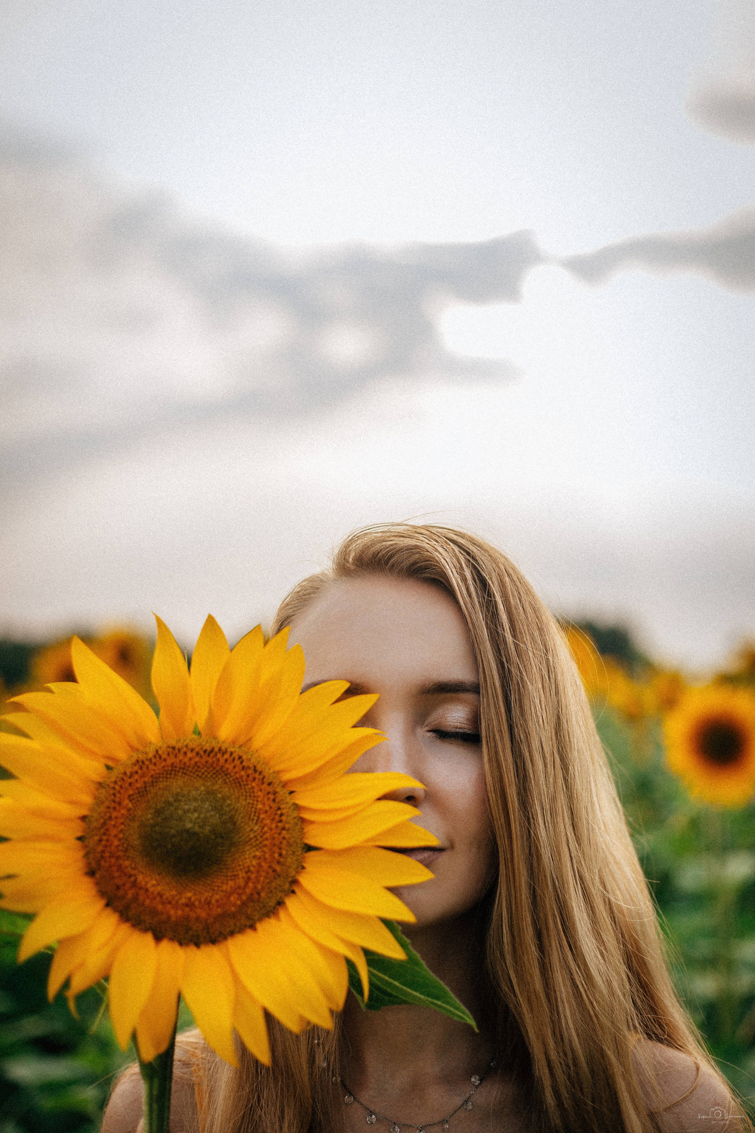 Анастасия (2022 поле подсолнечника). Фотограф Челябинск — Кирилл Устюжанин