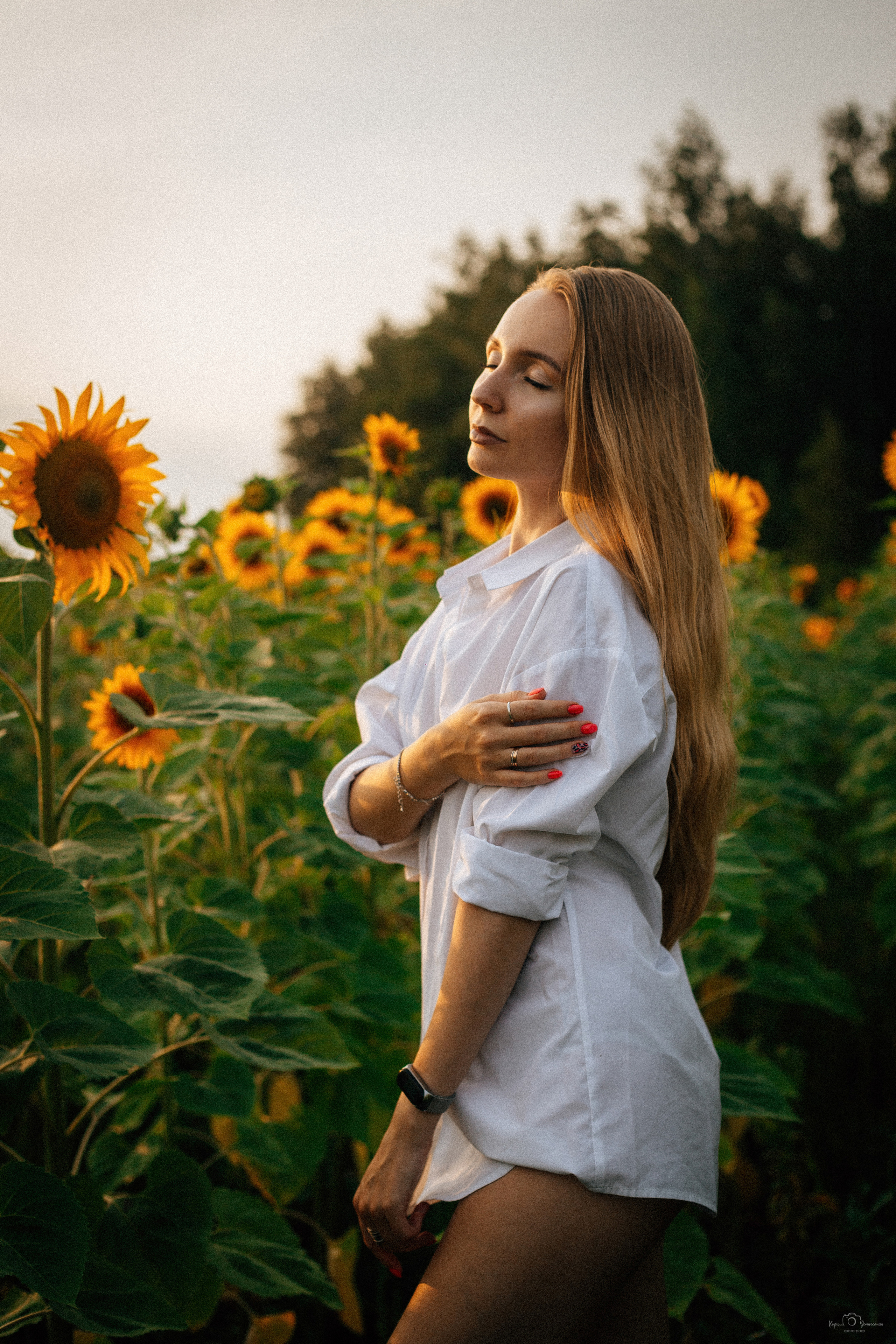 Анастасия (2022 поле подсолнечника). Фотограф Челябинск — Кирилл Устюжанин