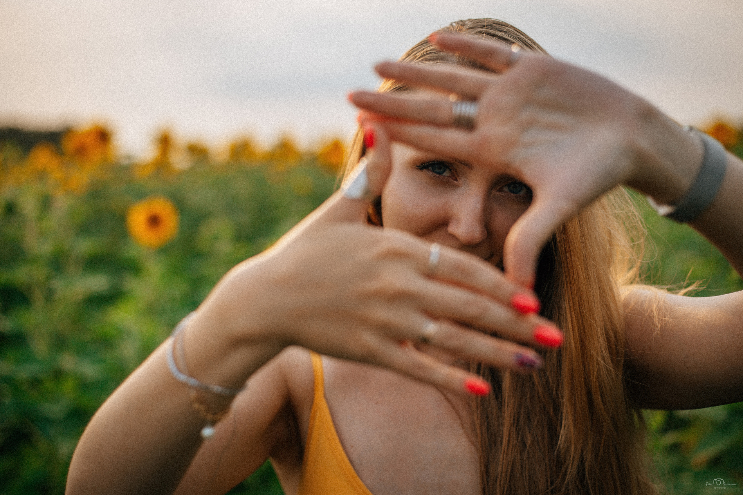 Анастасия (2022 поле подсолнечника). Фотограф Челябинск — Кирилл Устюжанин