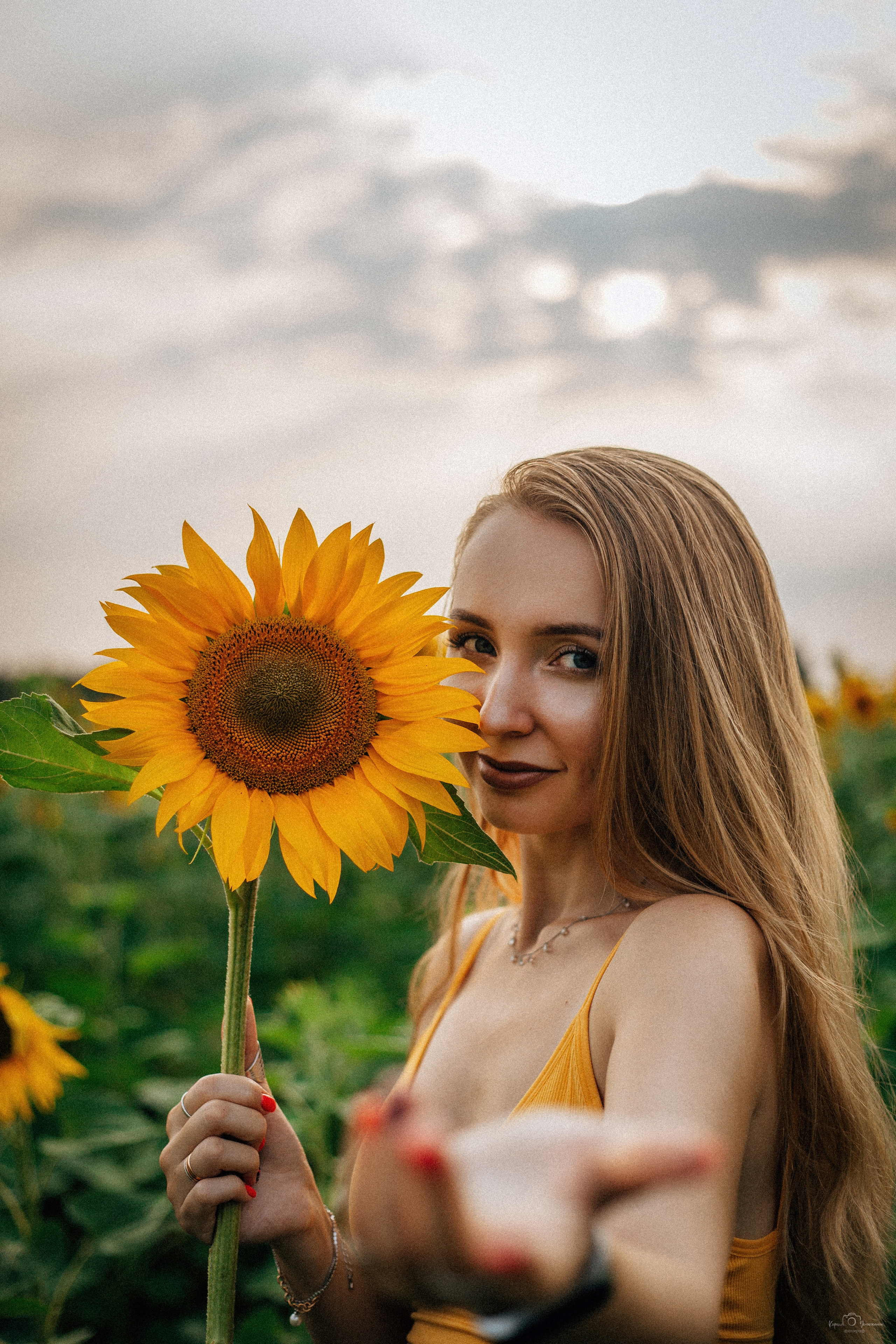 Анастасия (2022 поле подсолнечника). Фотограф Челябинск — Кирилл Устюжанин