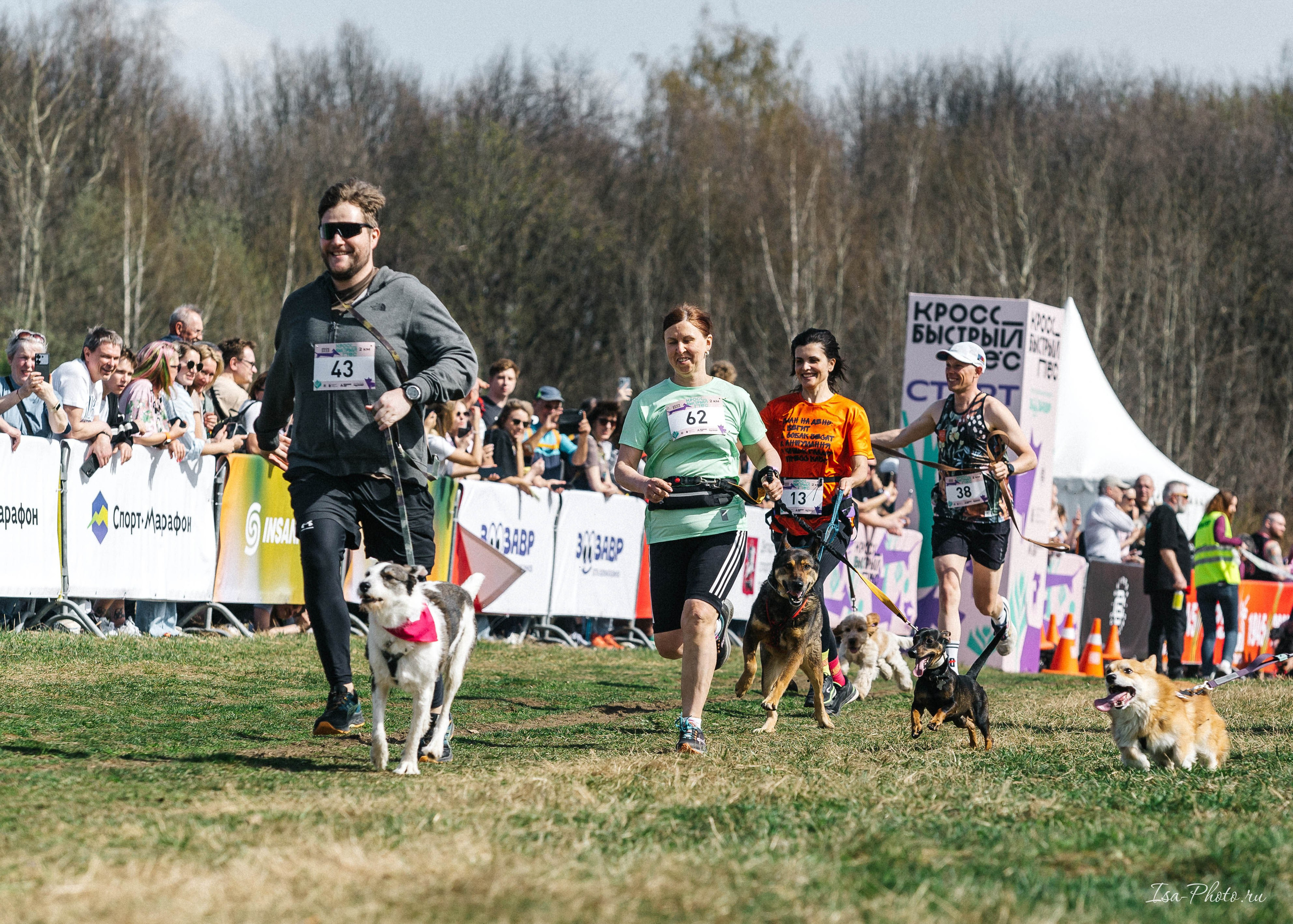 Кросс «Быстрый пёс» 2025. Репортажный фотограф в Москве