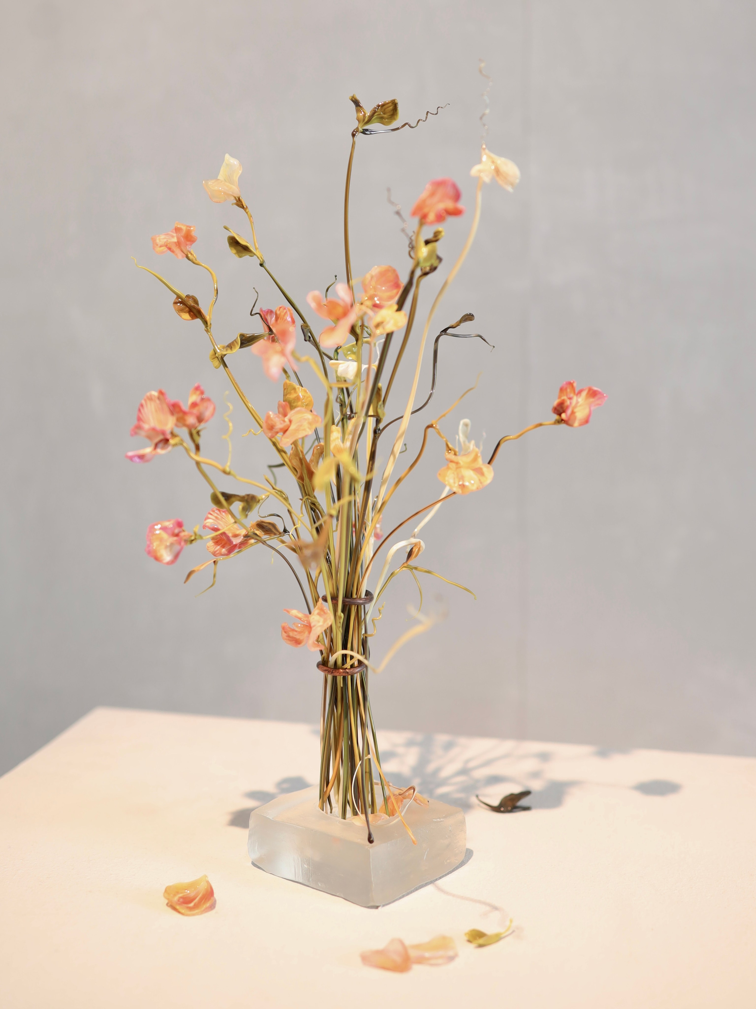 Выставка Степени прозрачности. Фотосессии и репортаж — Фотограф в Москве — Рина Серёгина