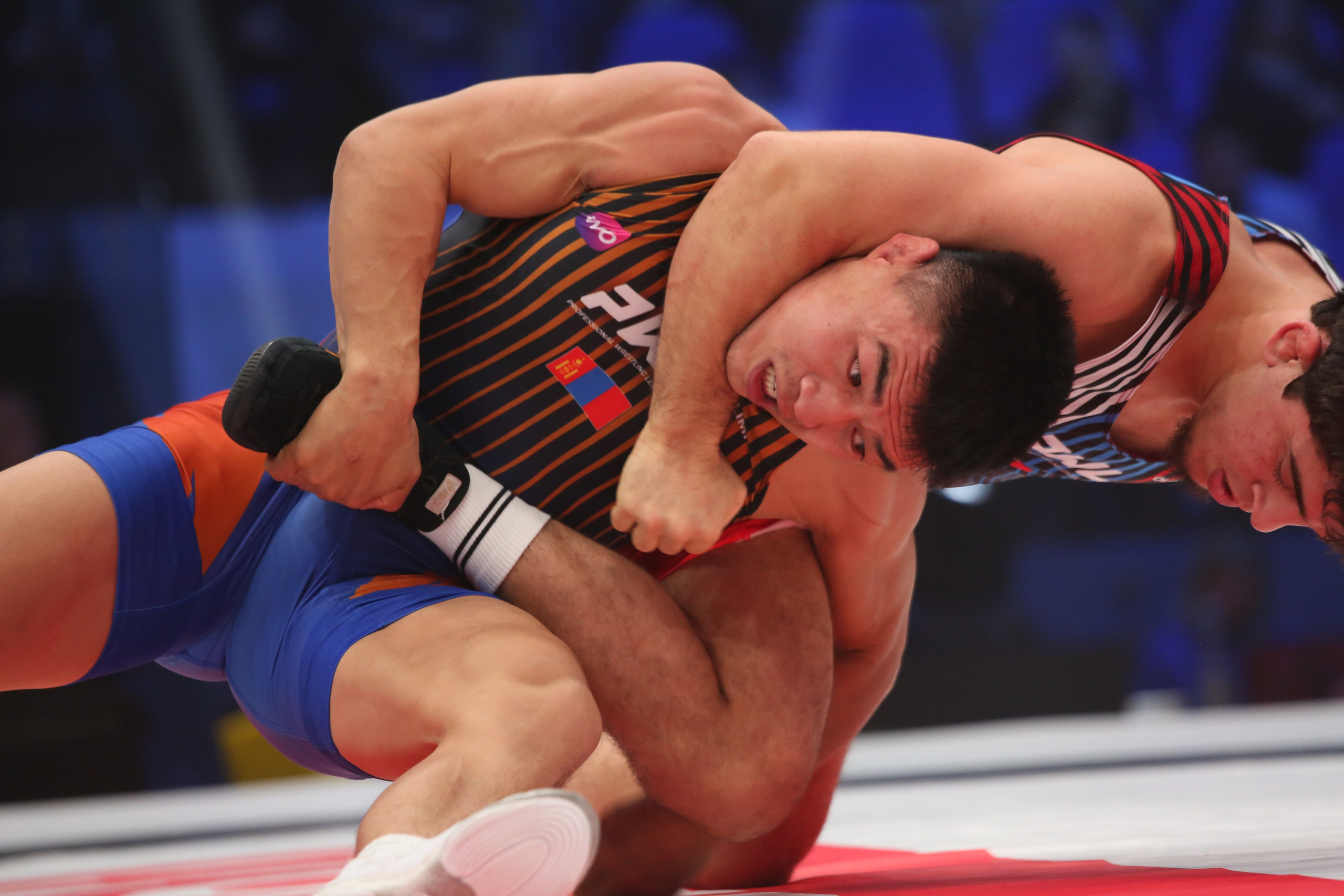 Профессиональная борцовская лига (PWL) 10. «Спорт через объектив: история в каждом снимке!»