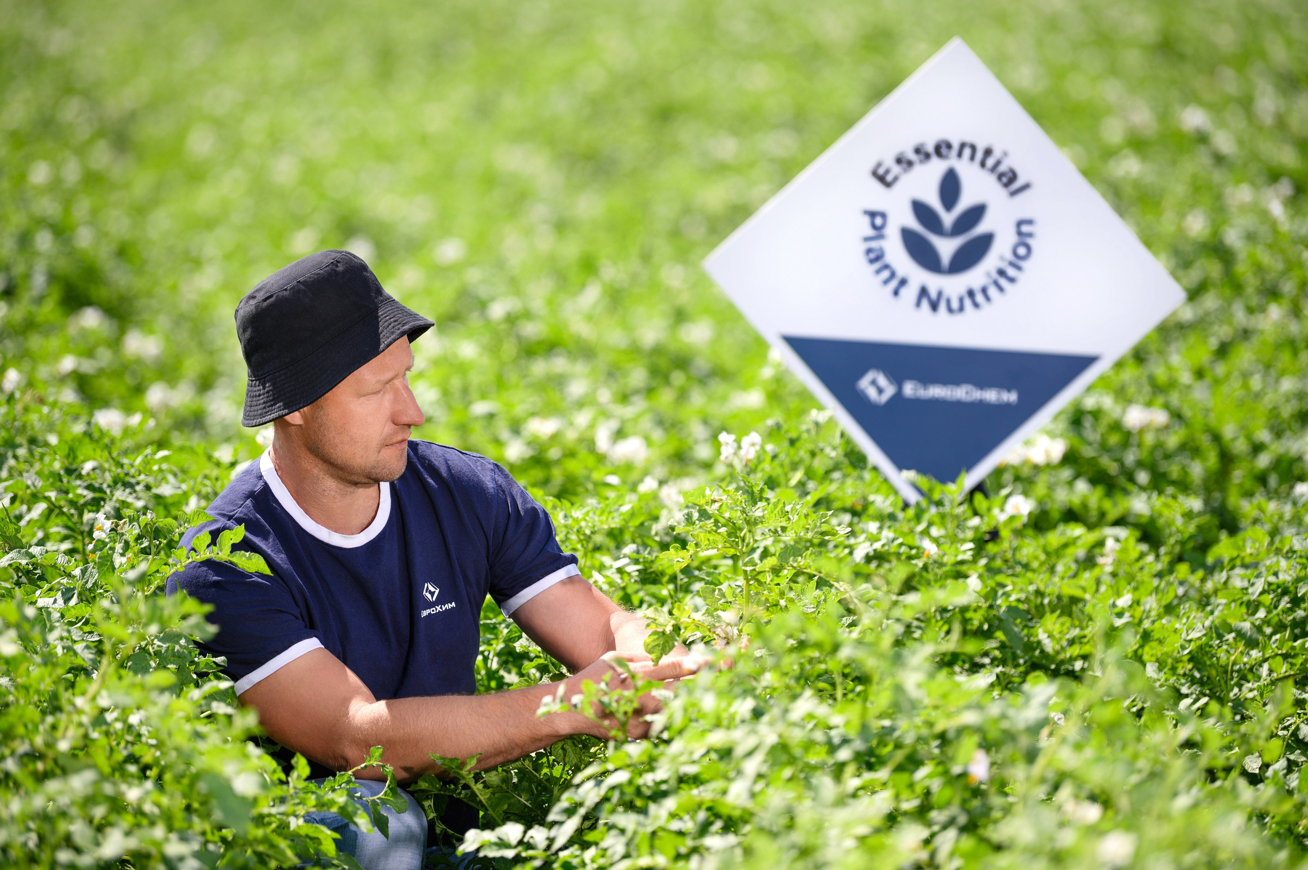 Проекты. Профессиональный фотограф Вячеслав Плацында | Липецк |