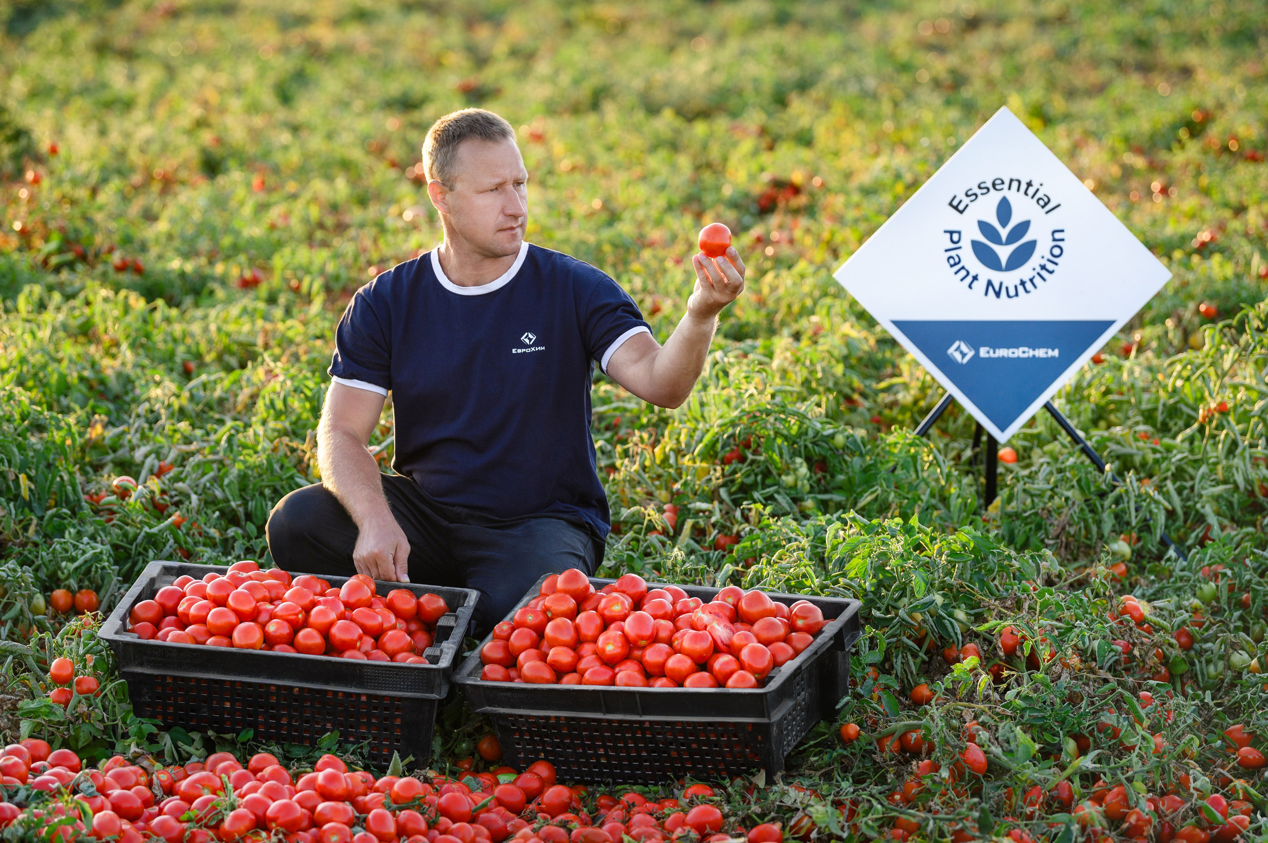 Проекты. Профессиональный фотограф Вячеслав Плацында | Липецк |