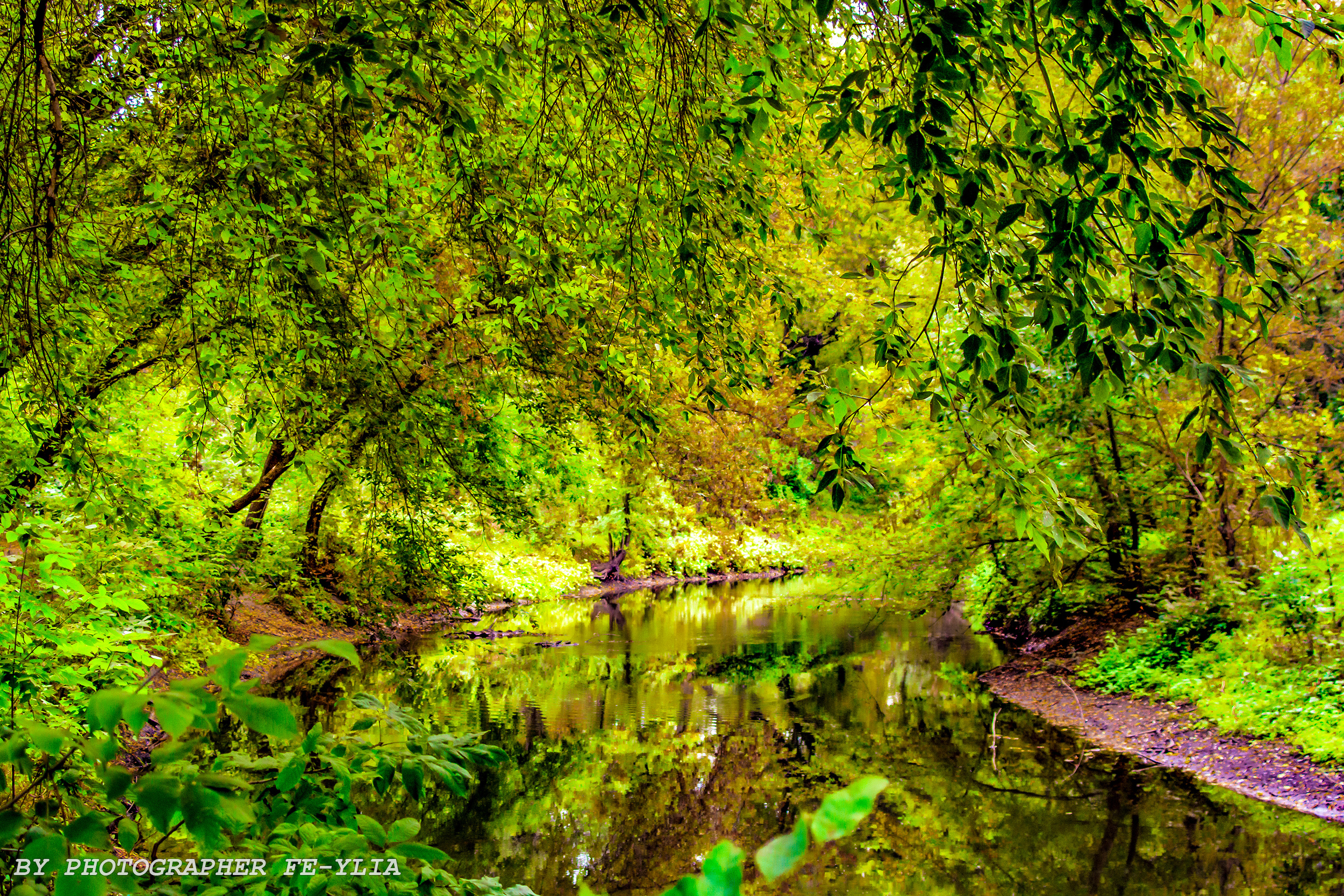 Прогулка в парке. Фотограф в РФ и ЛНР Юлия Федосеева