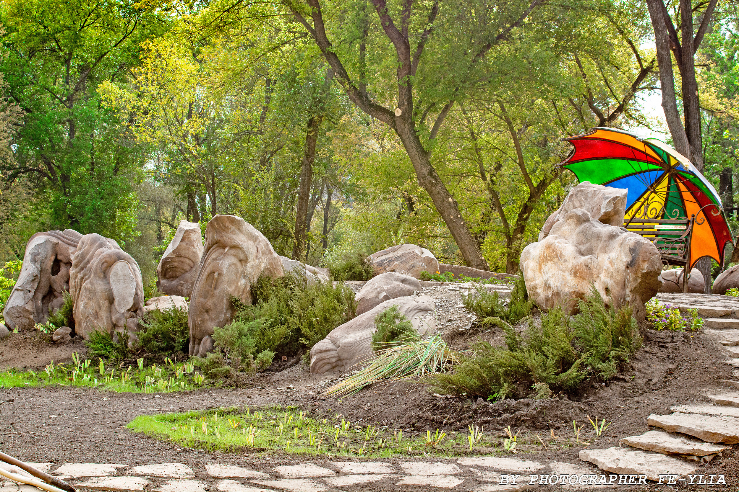 Прогулка в парке. Фотограф в РФ и ЛНР Юлия Федосеева