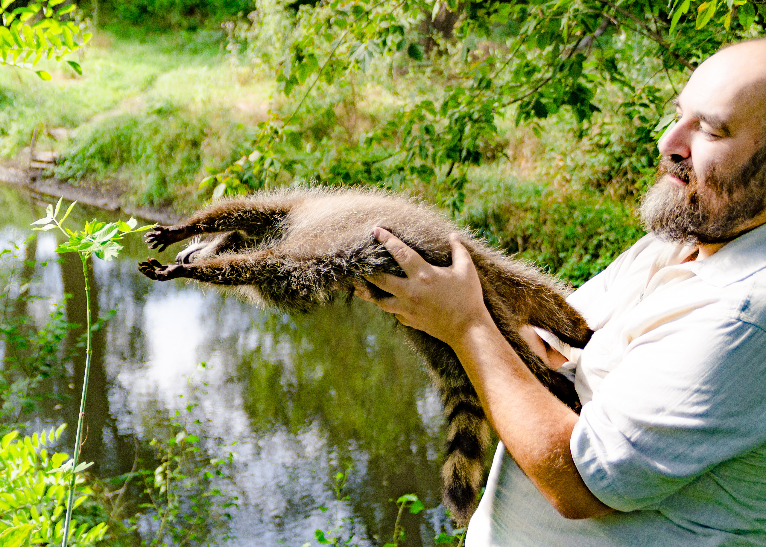 Фотосессия с любимым питомцем. Фотограф в РФ и ЛНР Юлия Федосеева