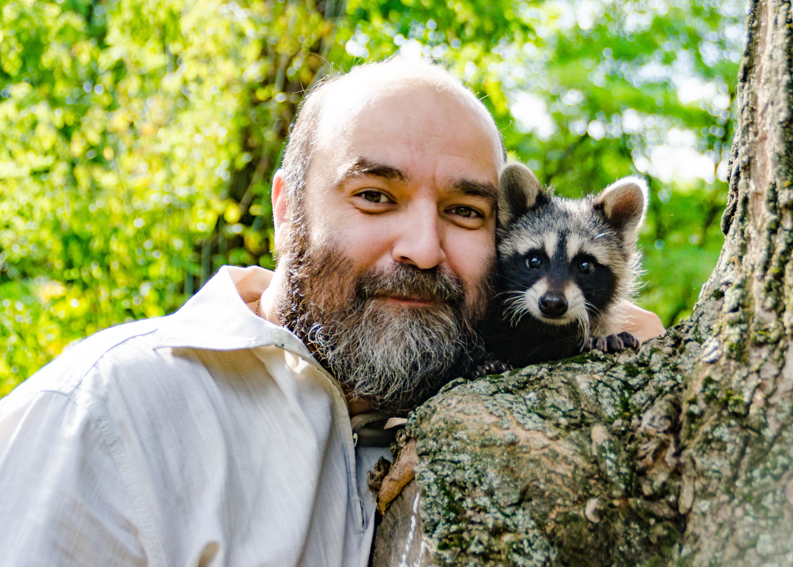 портрет енота и его хозяина