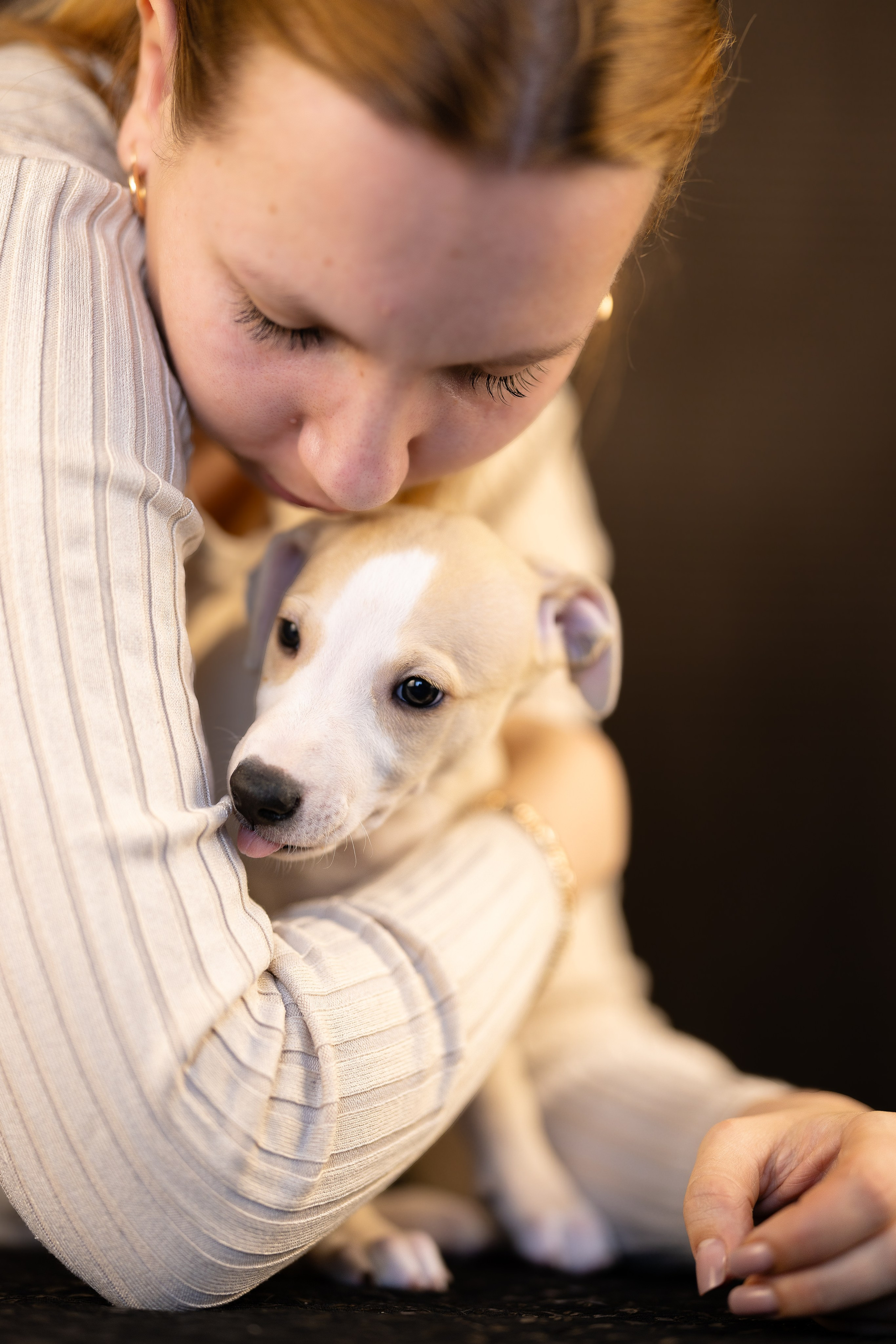 Уиппет. Фотограф и видеограф анималист Аганина Дарья