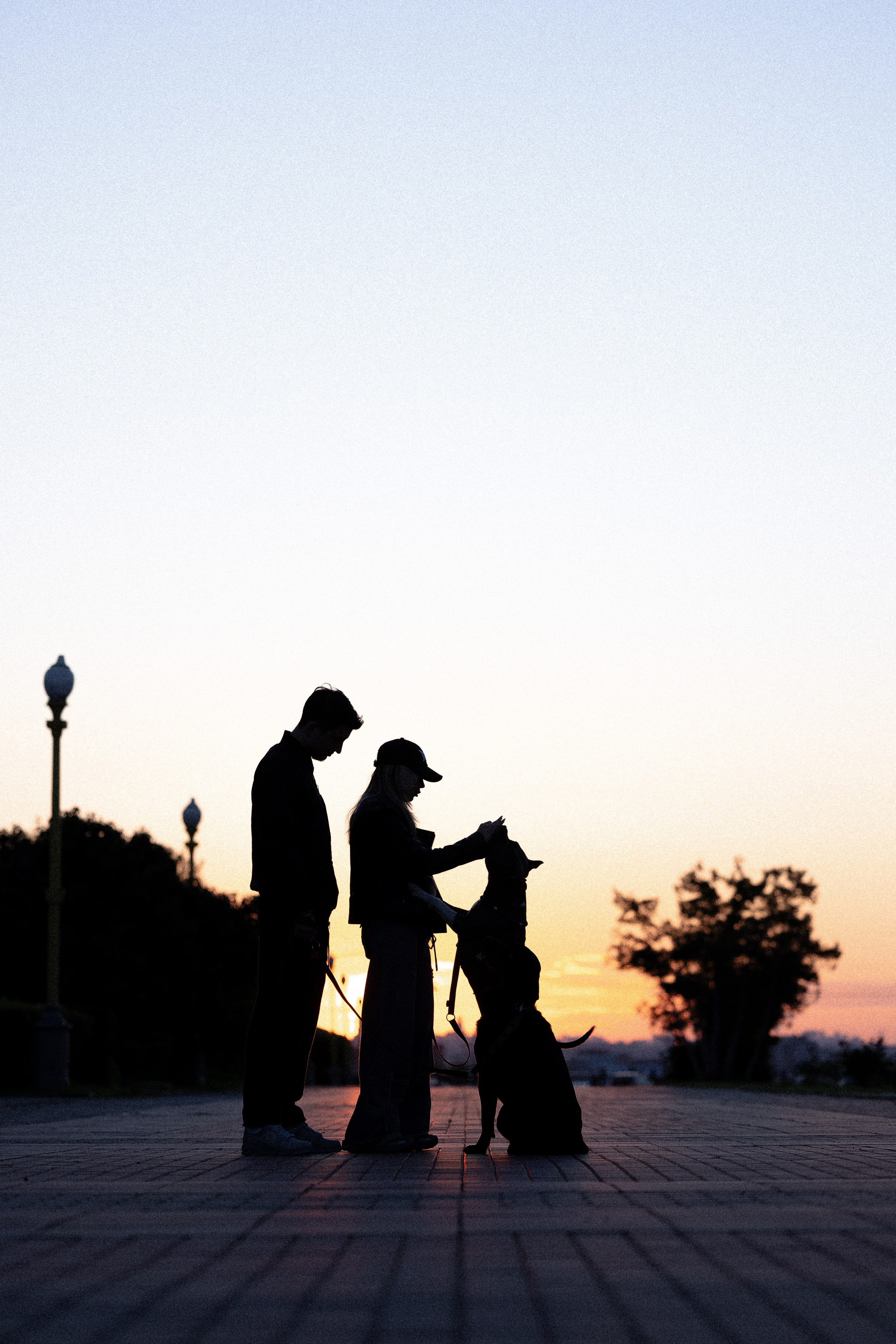 Катя, Леша, Лея и Трой. Фотограф и видеограф анималист Аганина Дарья