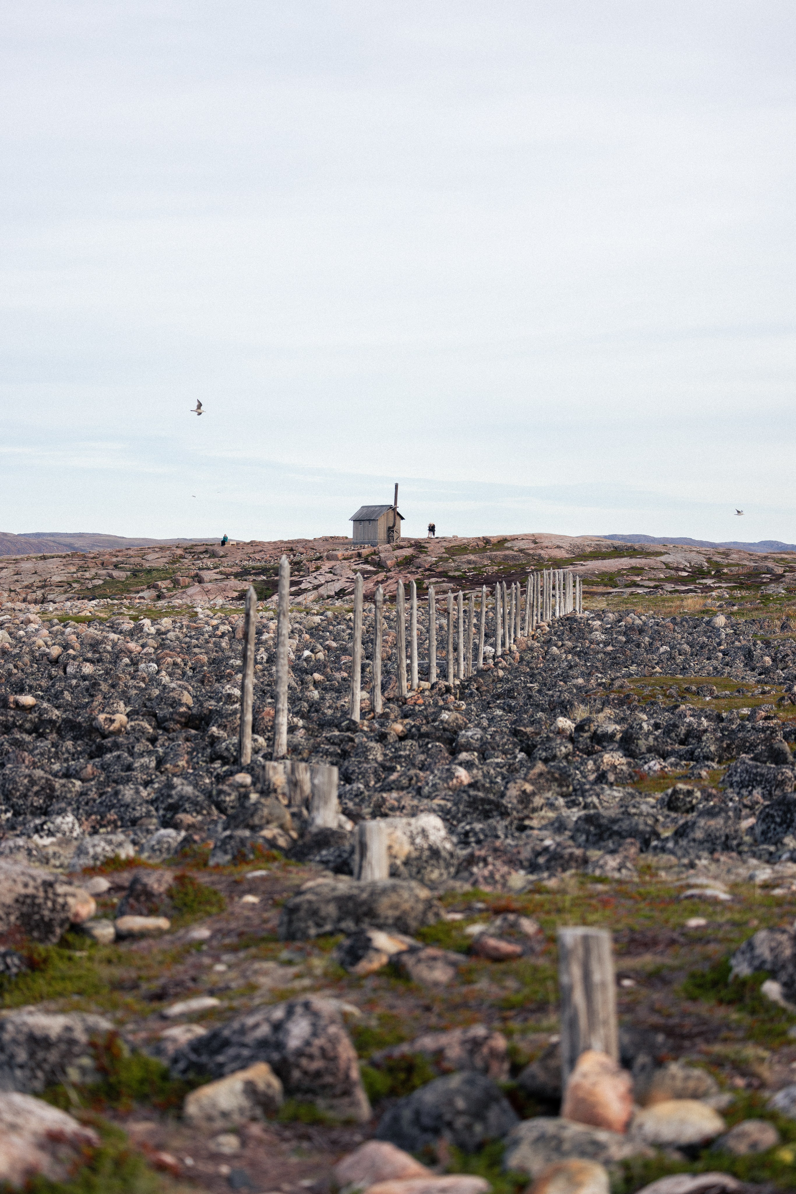 Кольский. Фотограф и видеограф анималист Аганина Дарья