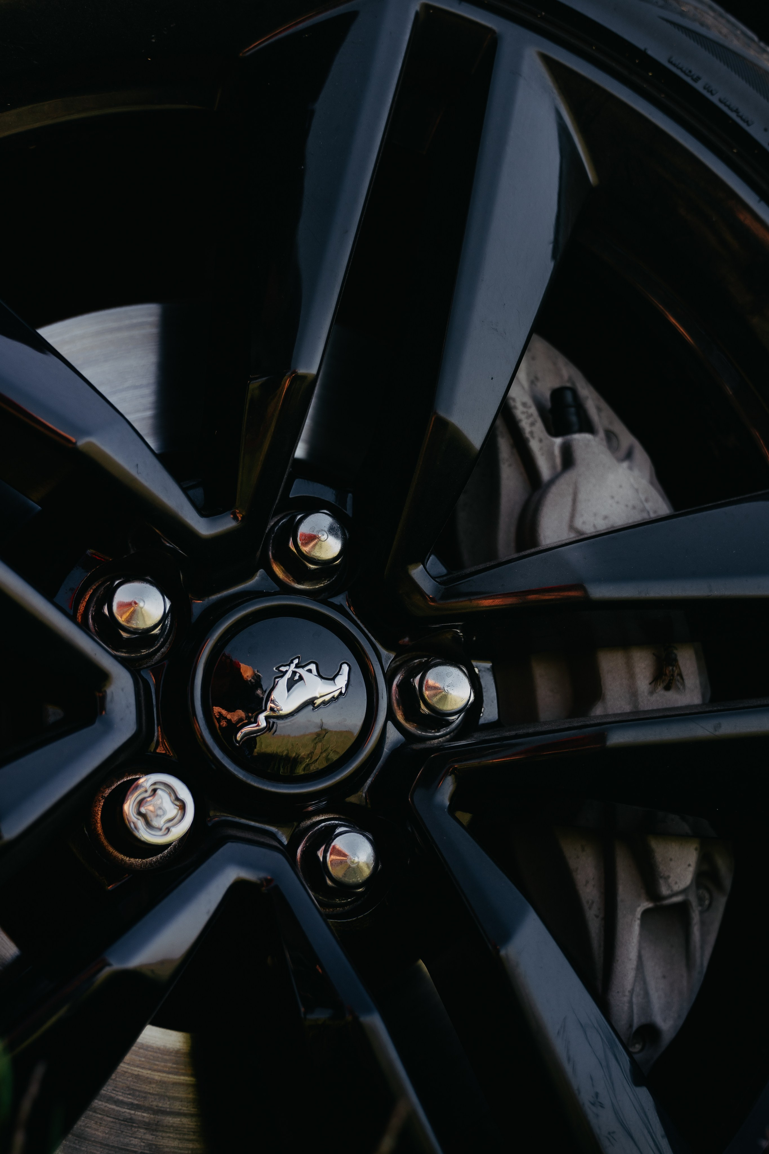 Ford Mustang. Фотограф, видеограф и пилот дрона на Байкале
