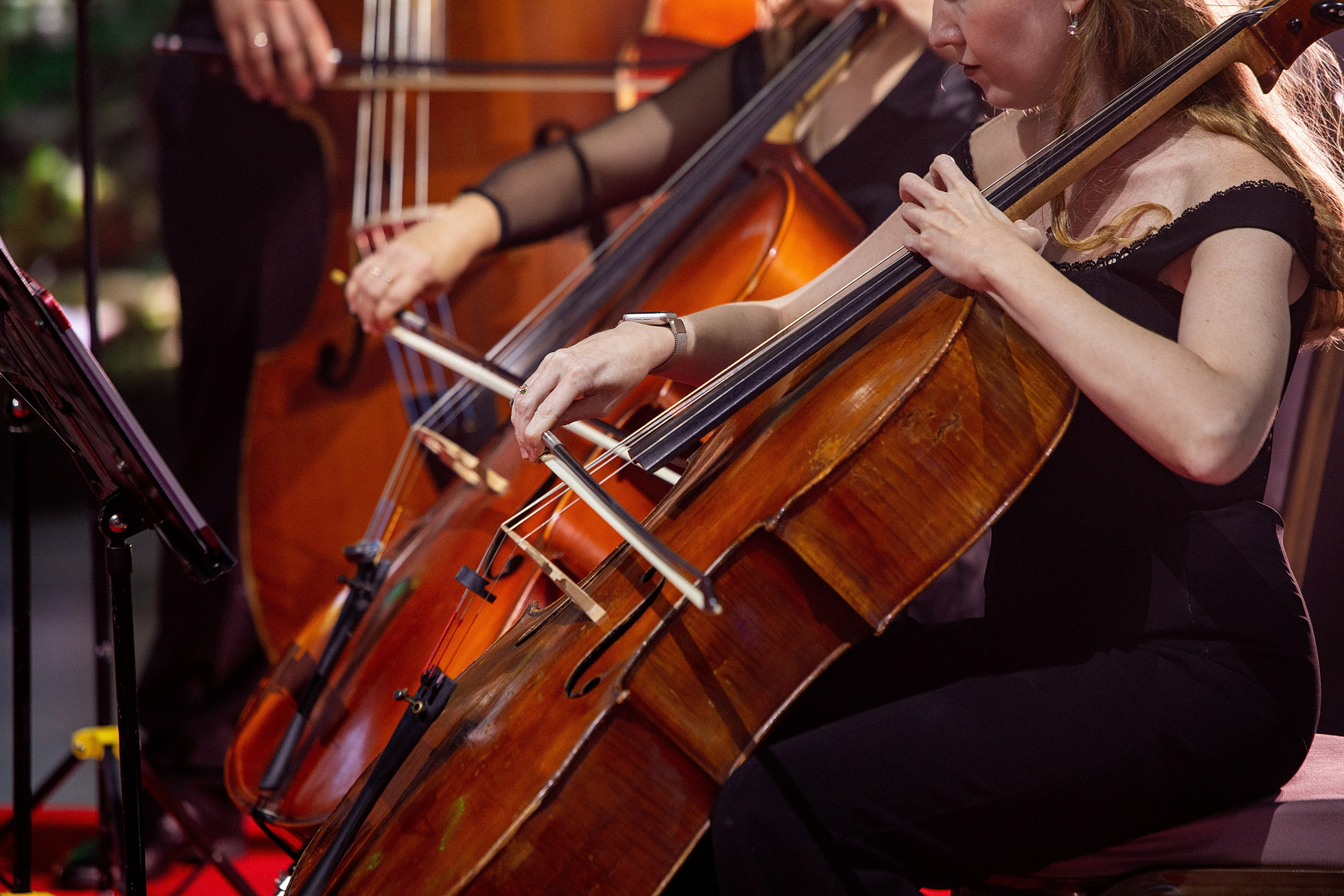 БКС УЛЬТИМА. Фотограф в Челябинске Антон Акулов