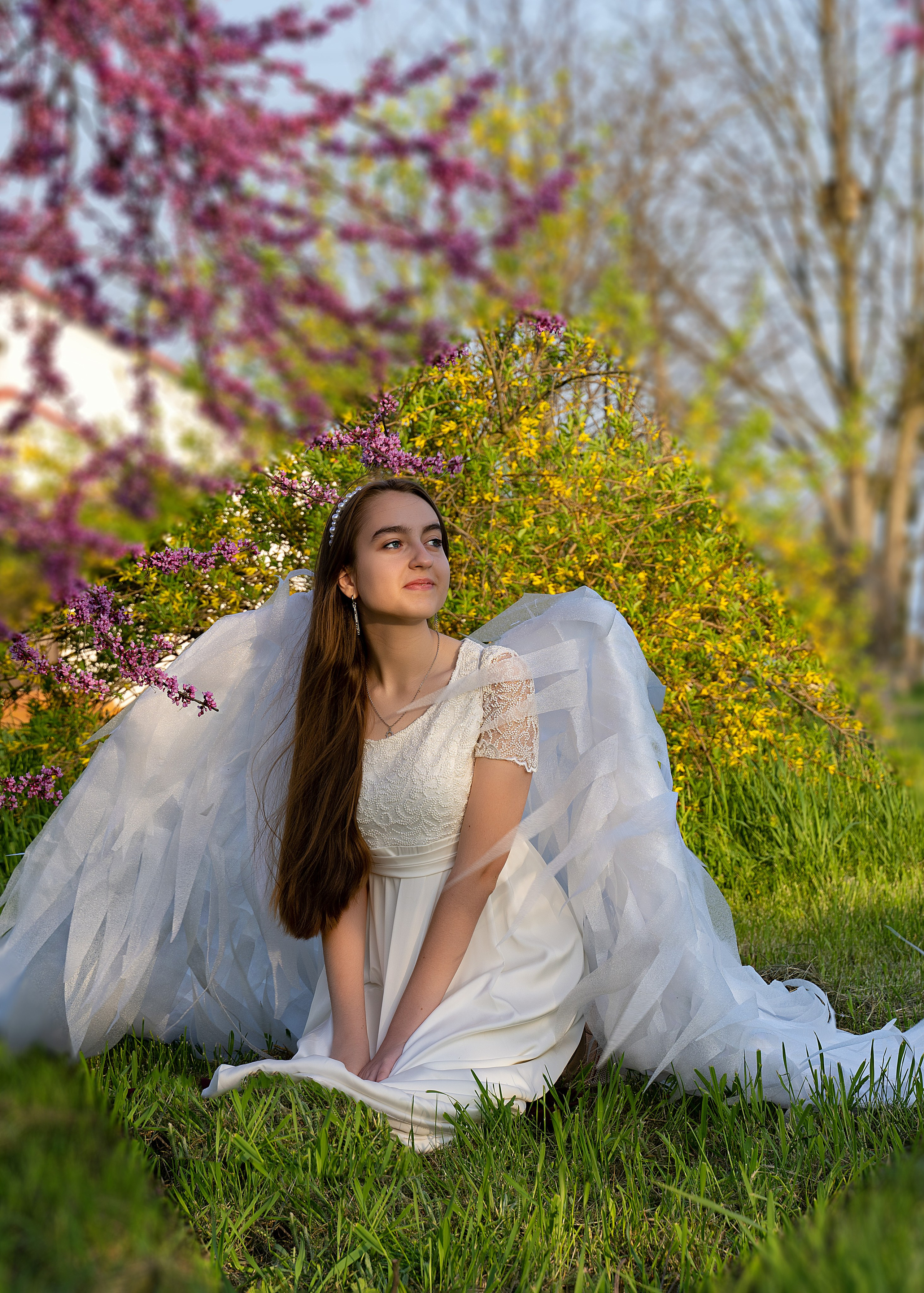 Крылатые истории. Главная