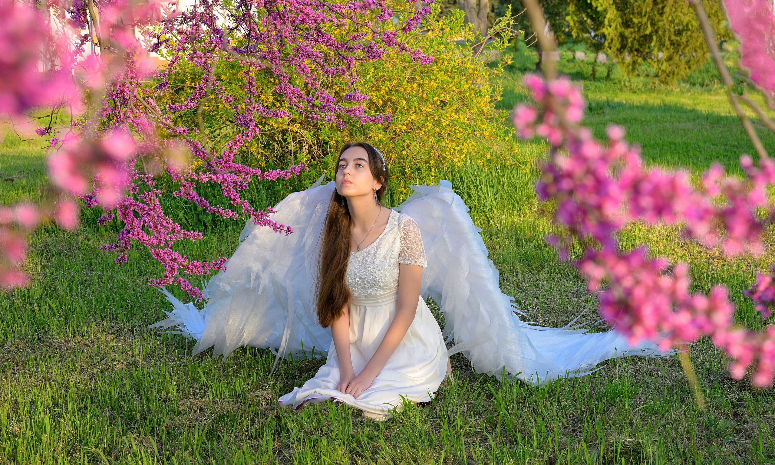 Крылатые истории. Главная