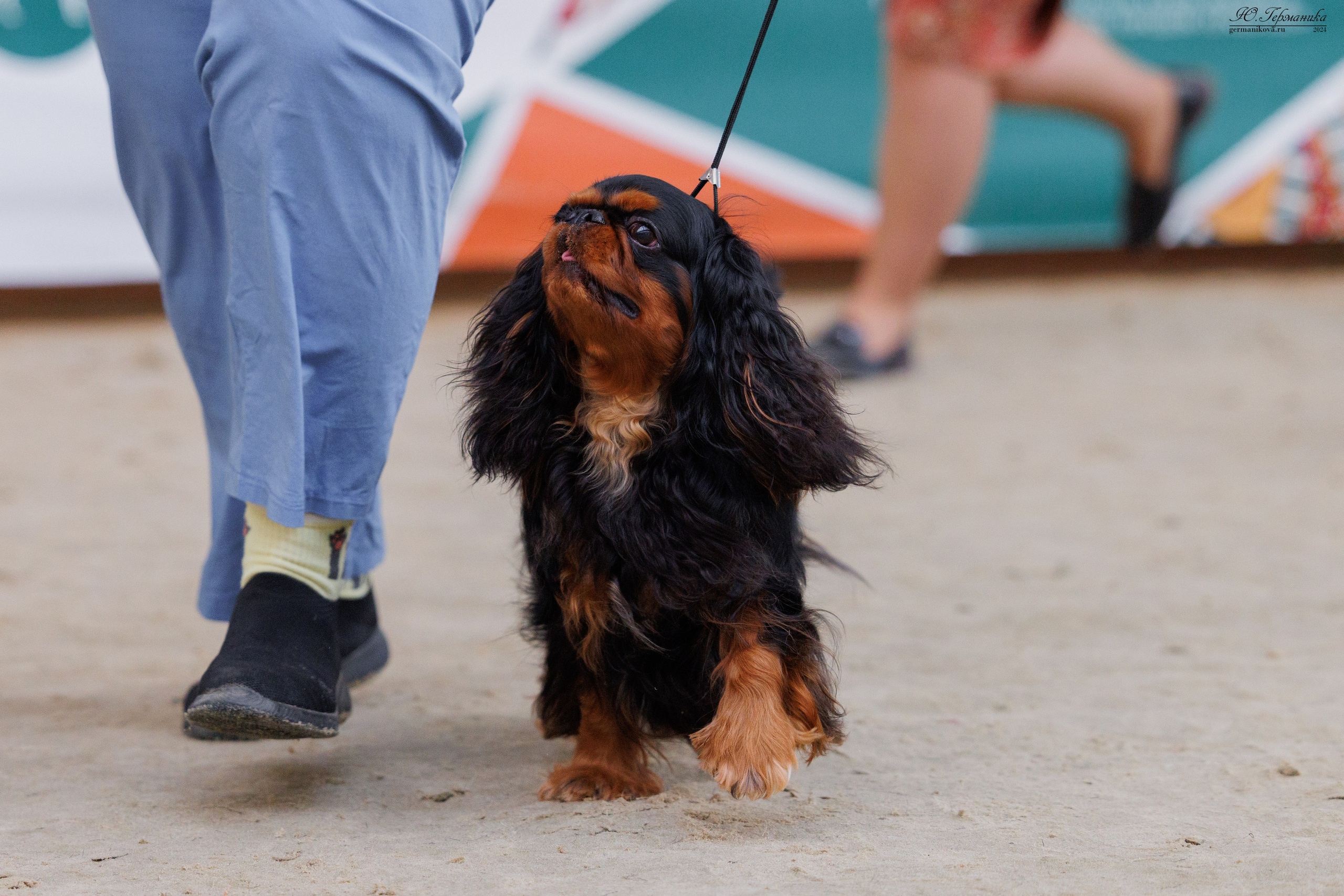 РОССИЯ 8-9.06.2024. Фотограф-анималист Юлия Германика